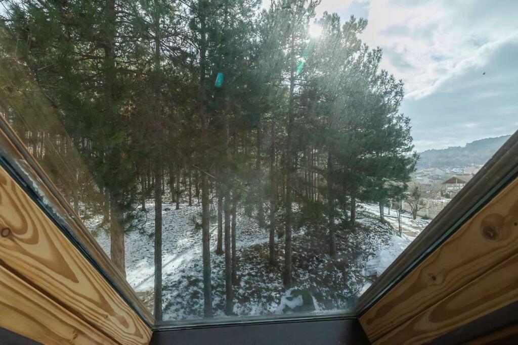 Cozy Studio with Forest View & Bath - 10min drive to Black Sea Beach