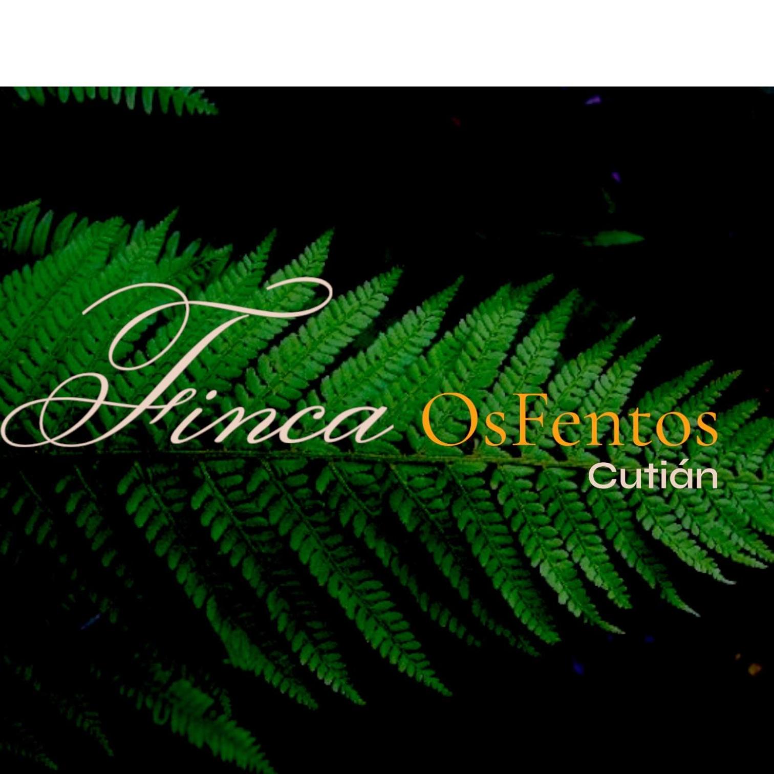Os Fentos