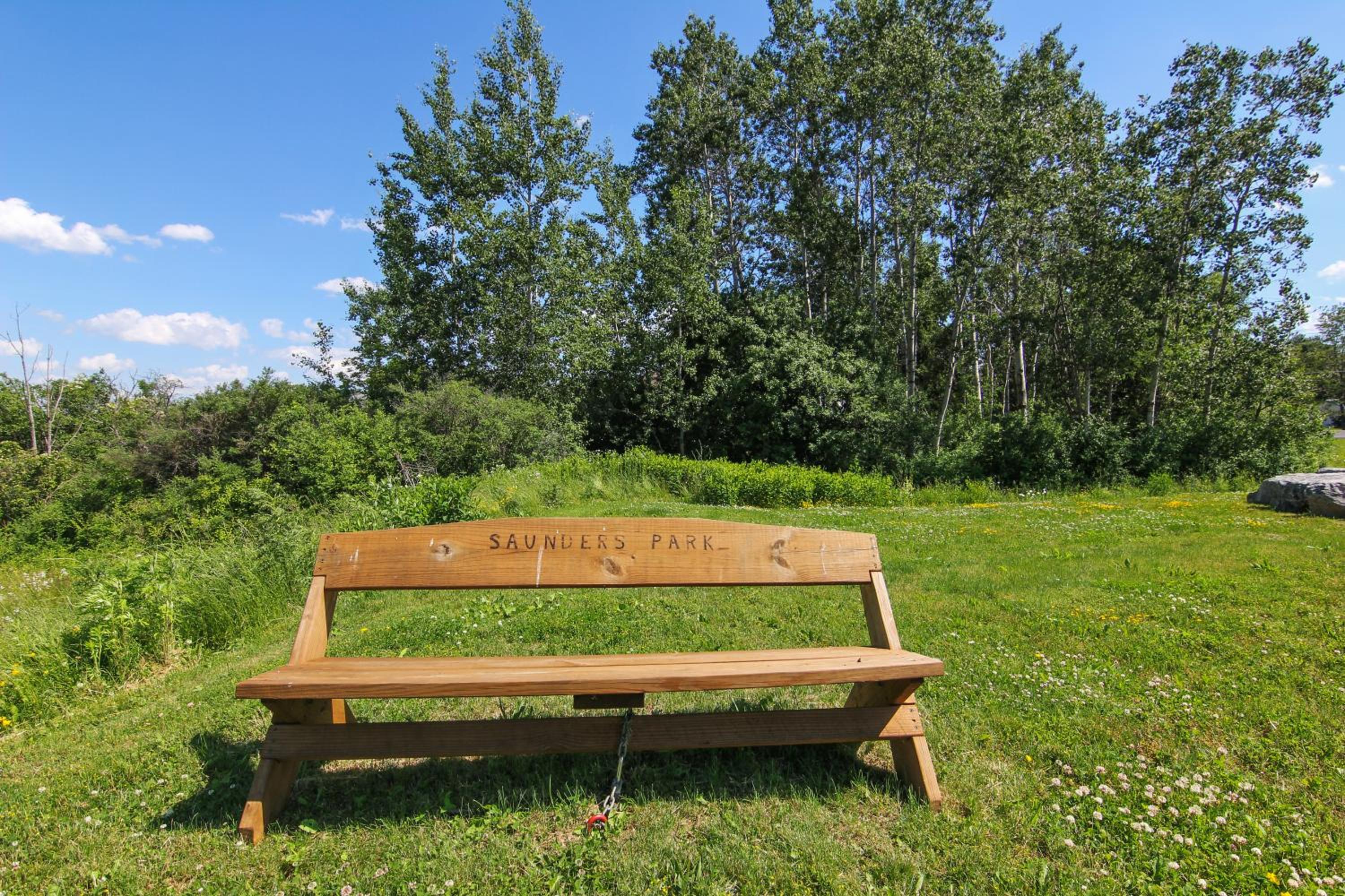 Family-Friendly Retreat near Cornell & Downtown view 5