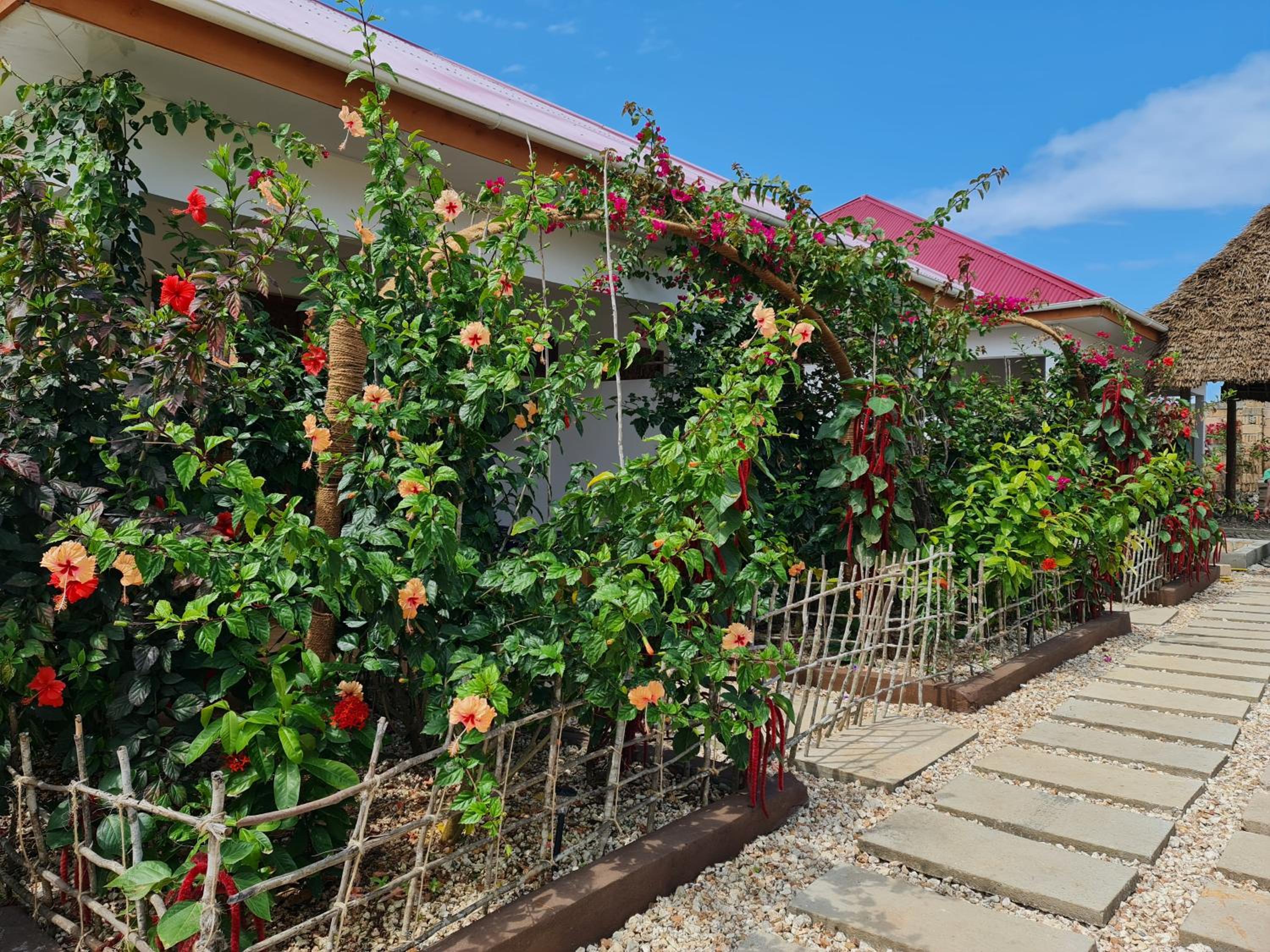 Apartments Zanz J&J Nungwi