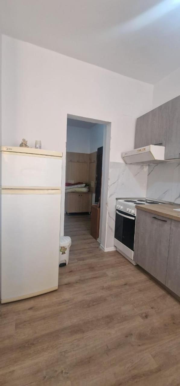 Osho Apartment