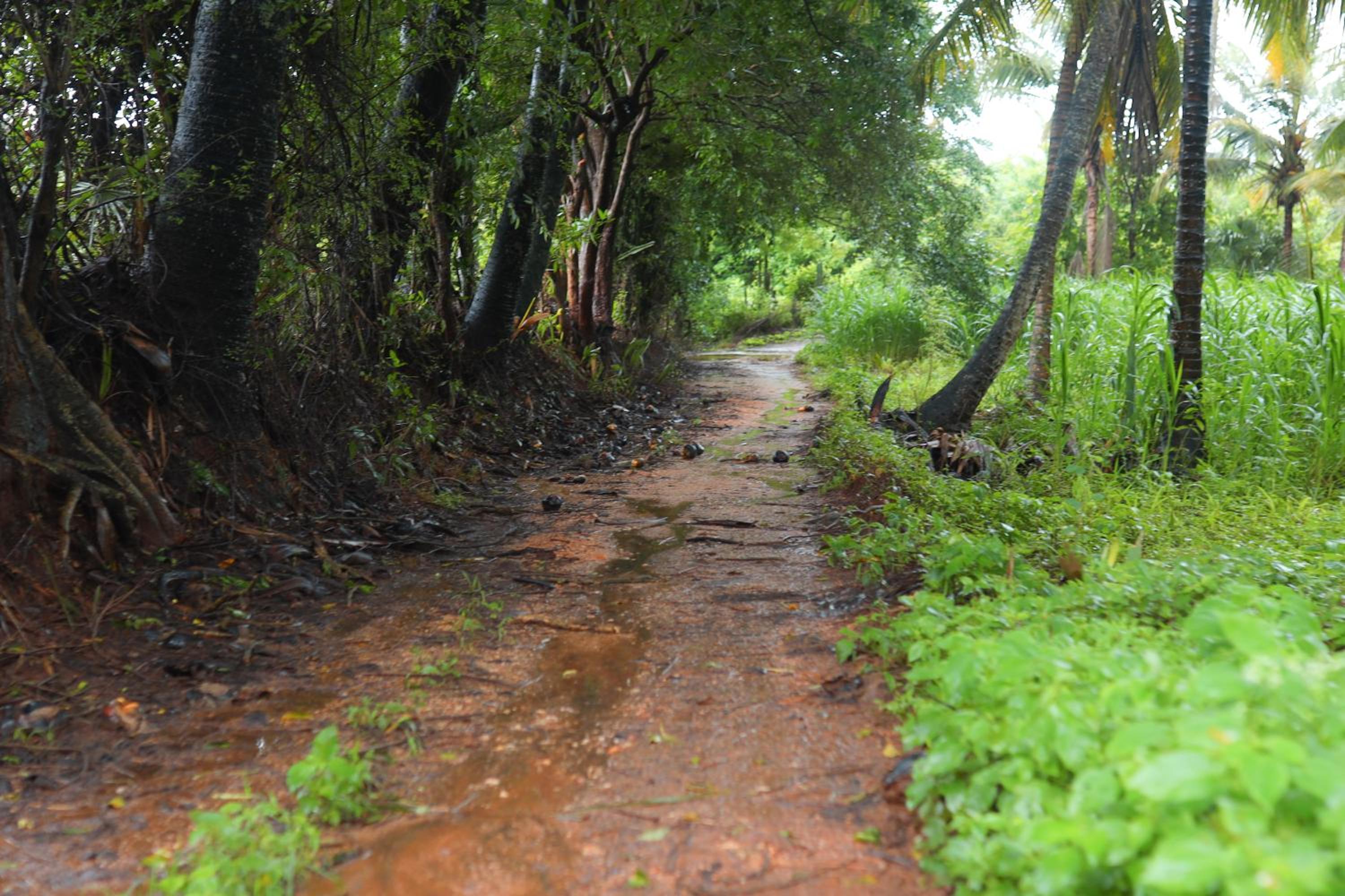 Photo 20