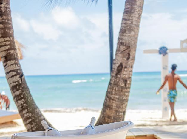 Playa Palmera Ocean View