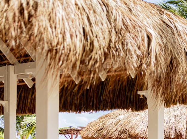 Playa Palmera Ocean View