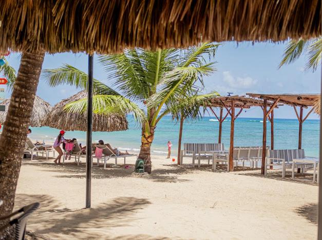 Playa Palmera Ocean View