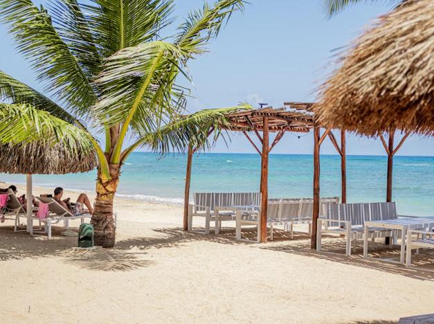 Playa Palmera Ocean View