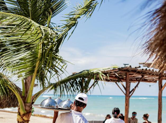 Playa Palmera Ocean View