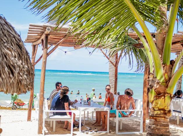 Playa Palmera Ocean View