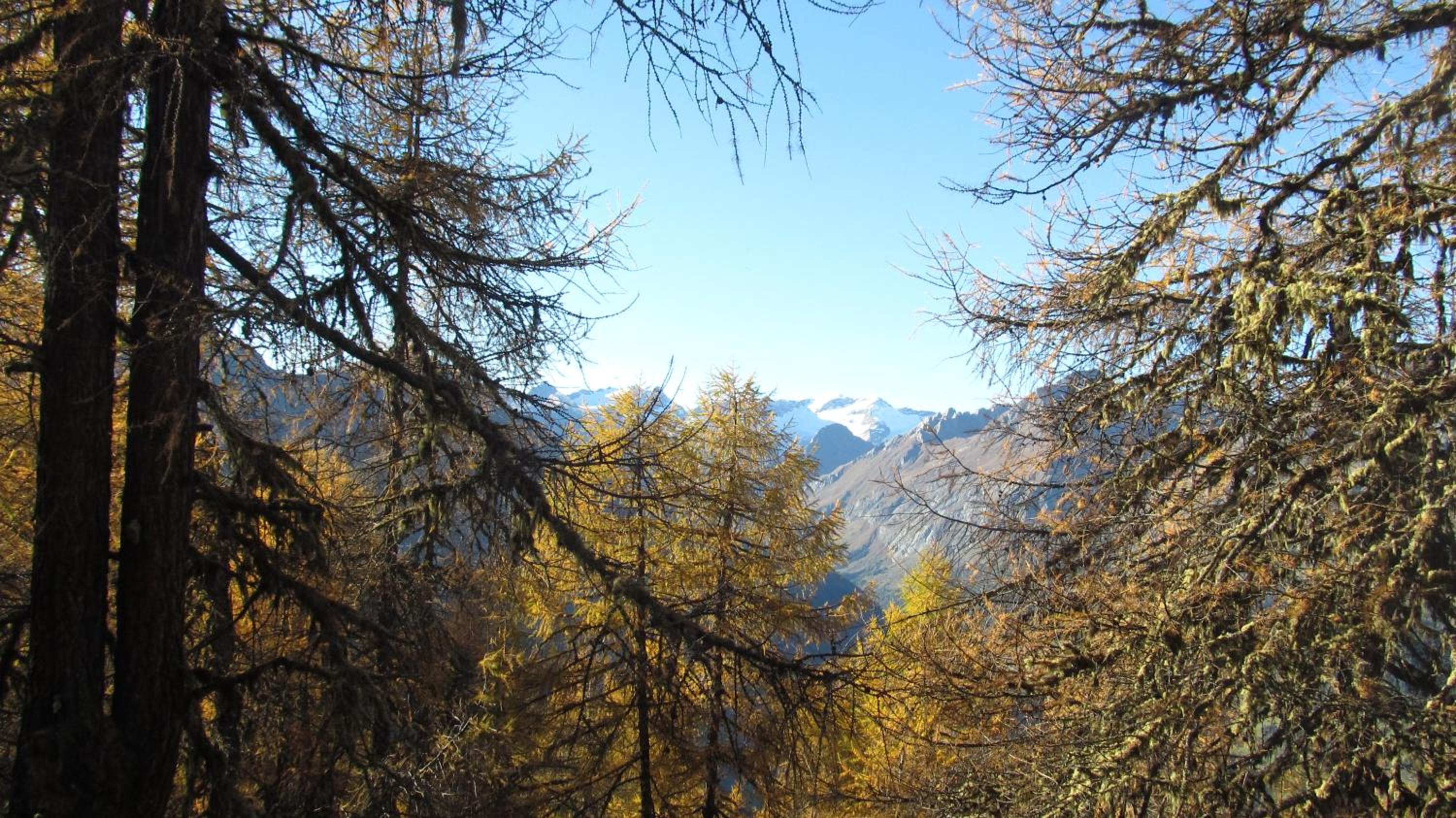 Klampererhof
