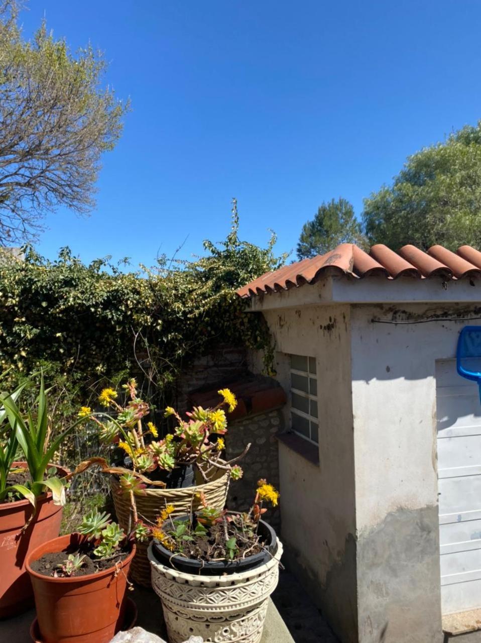 Casa Las Margaritas