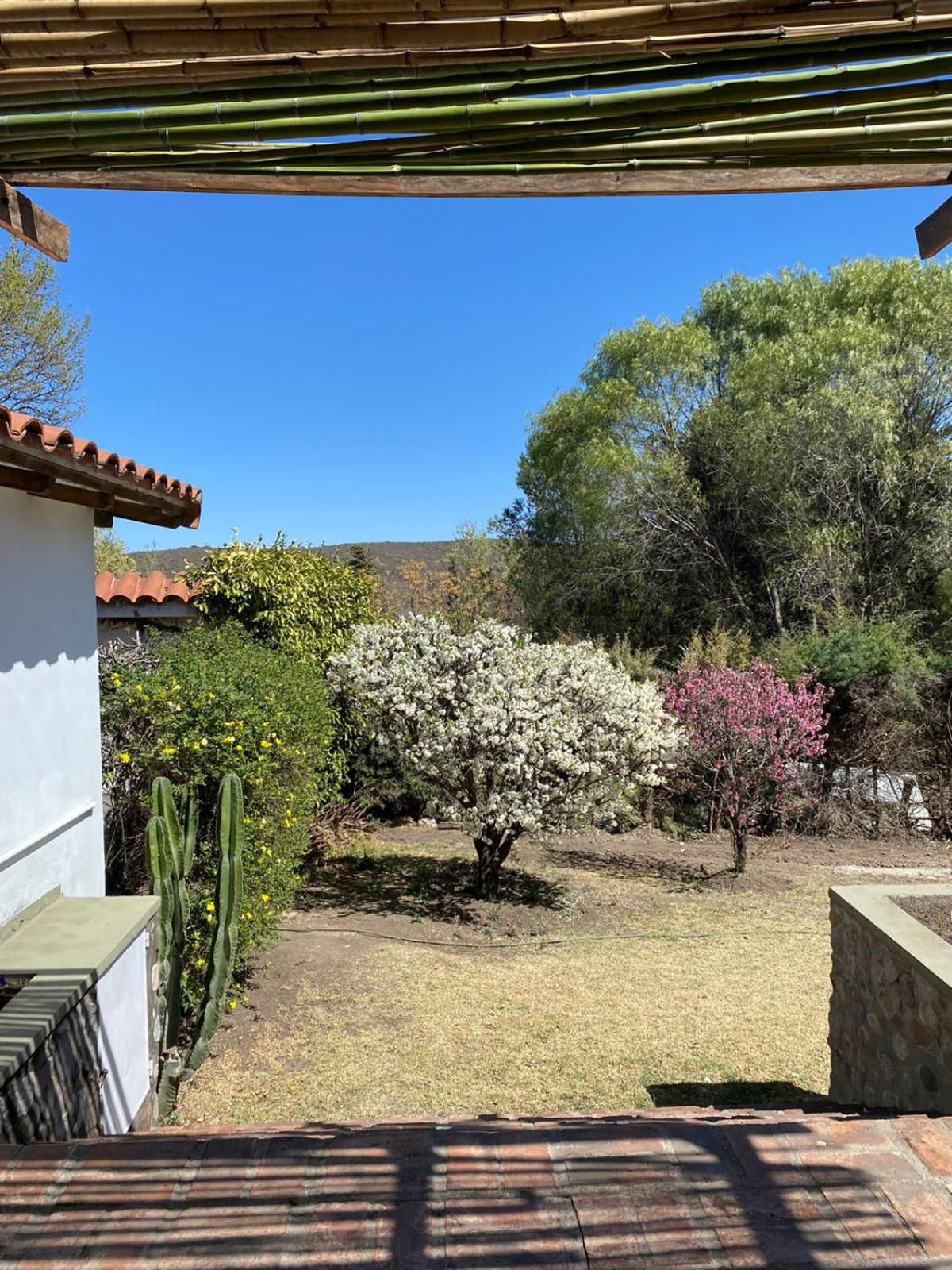 Casa Las Margaritas