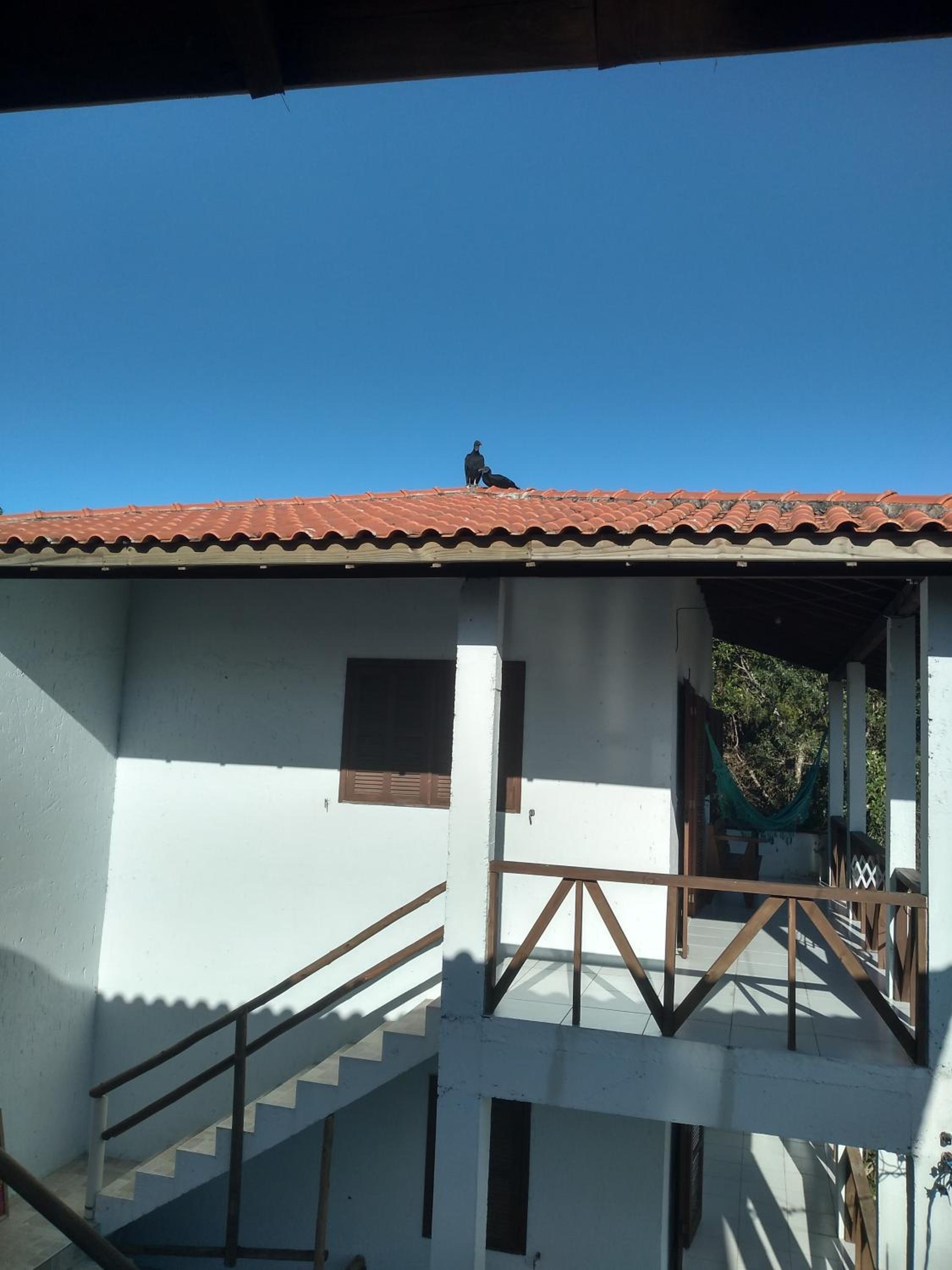 Casas do Manoel