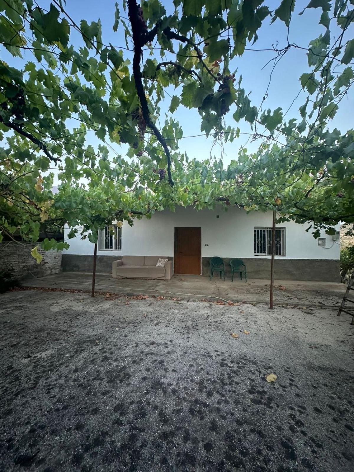 Aldi's house