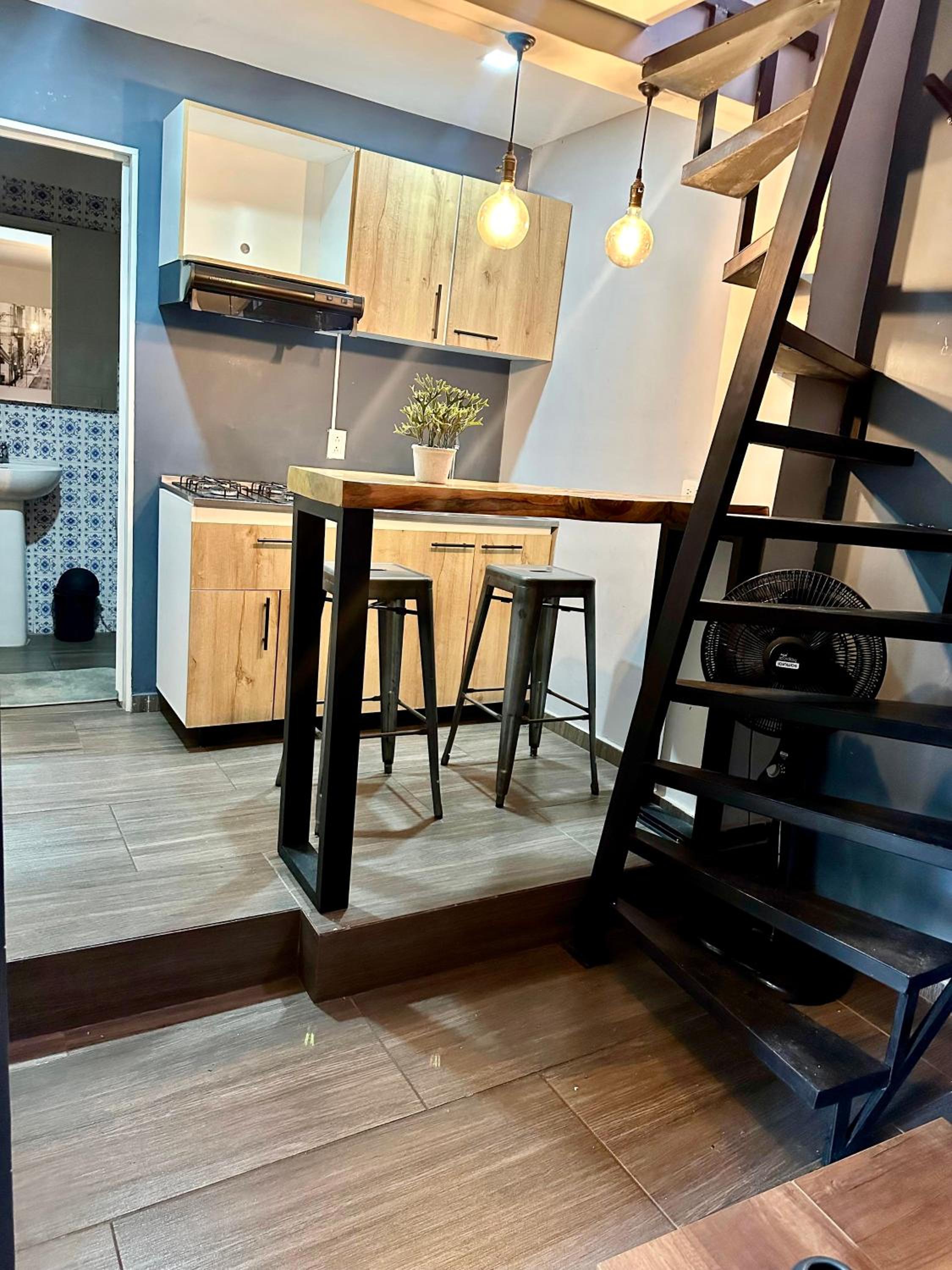 Coliving 52