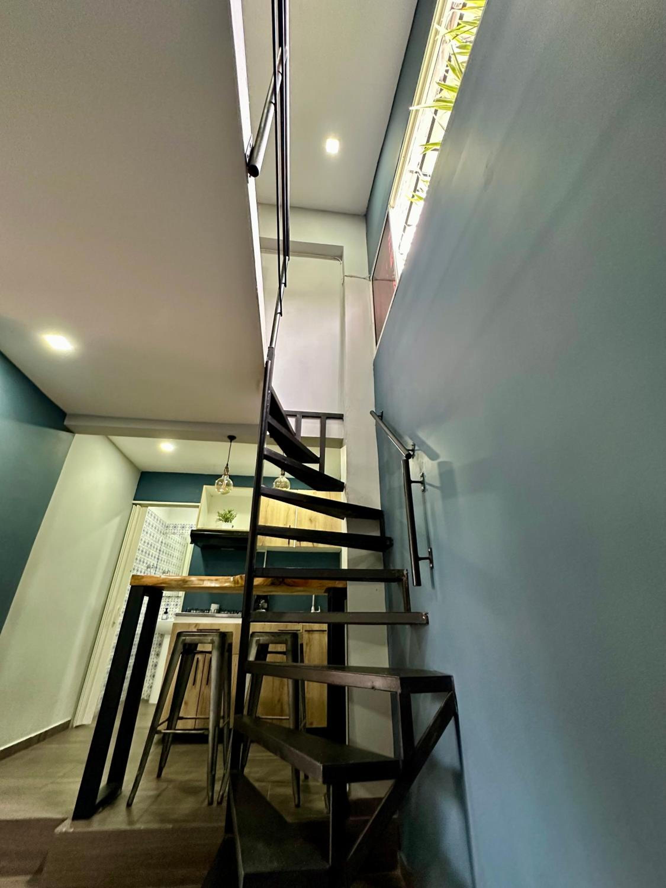 Coliving 52