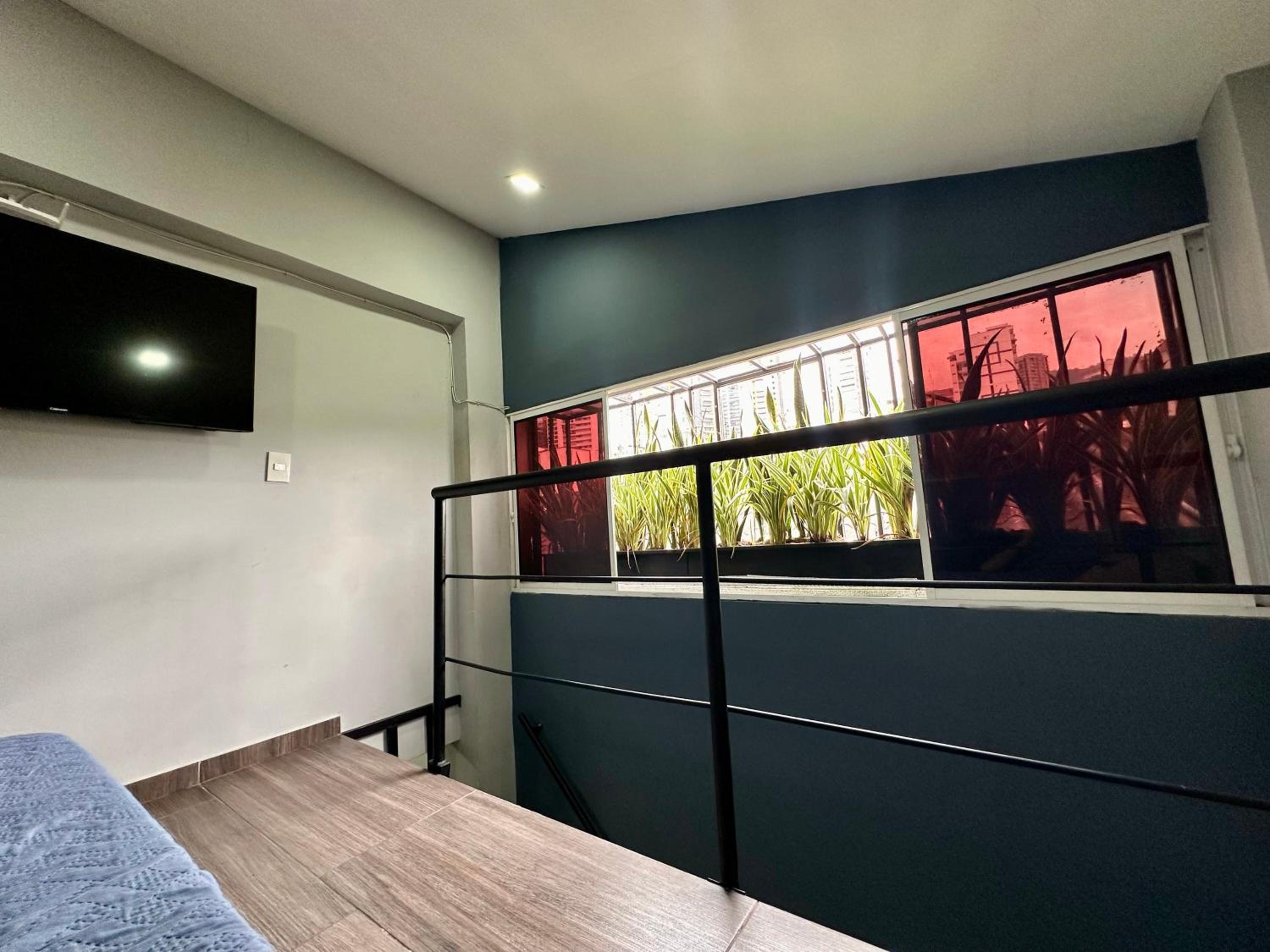 Coliving 52