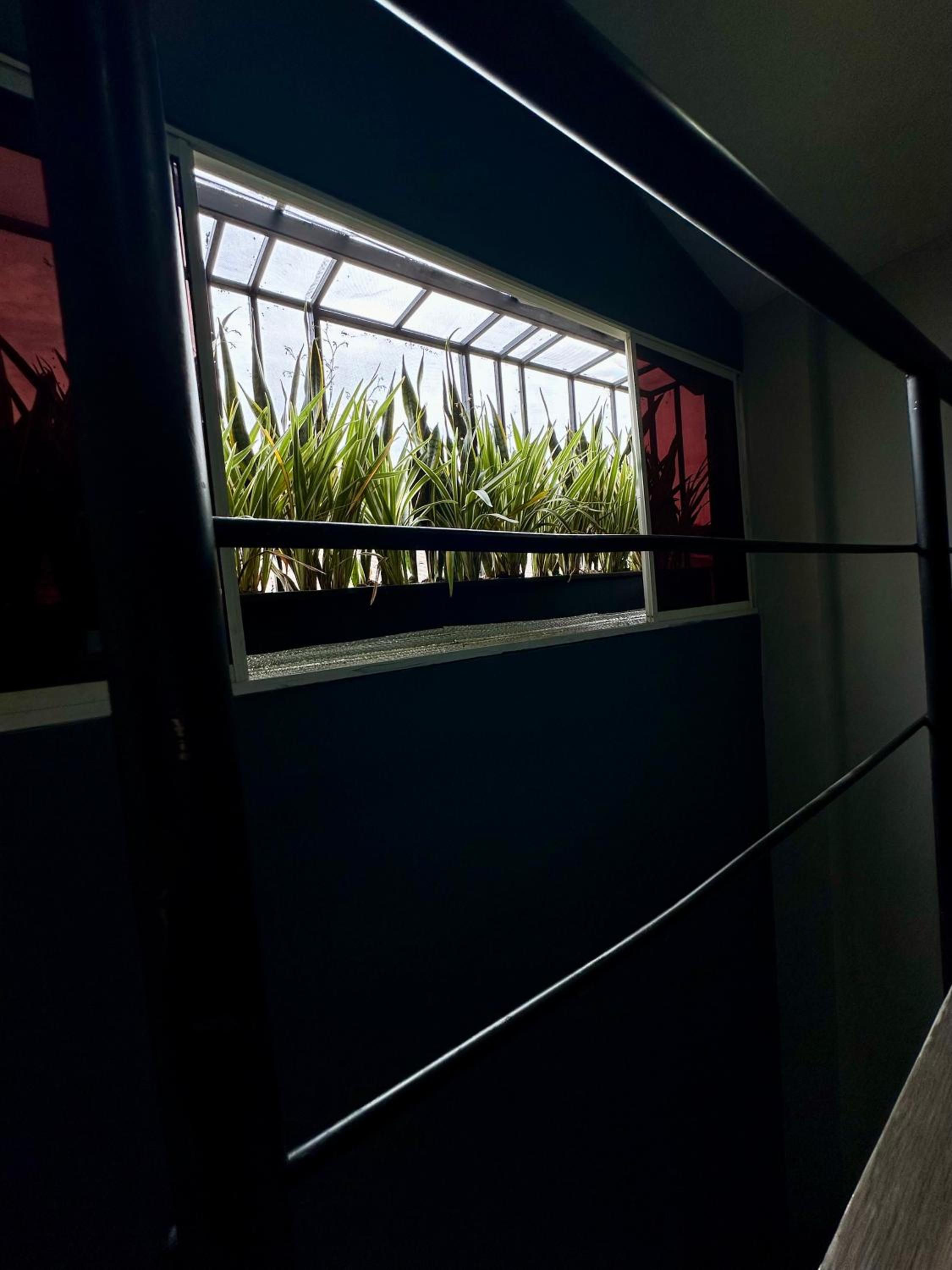 Coliving 52