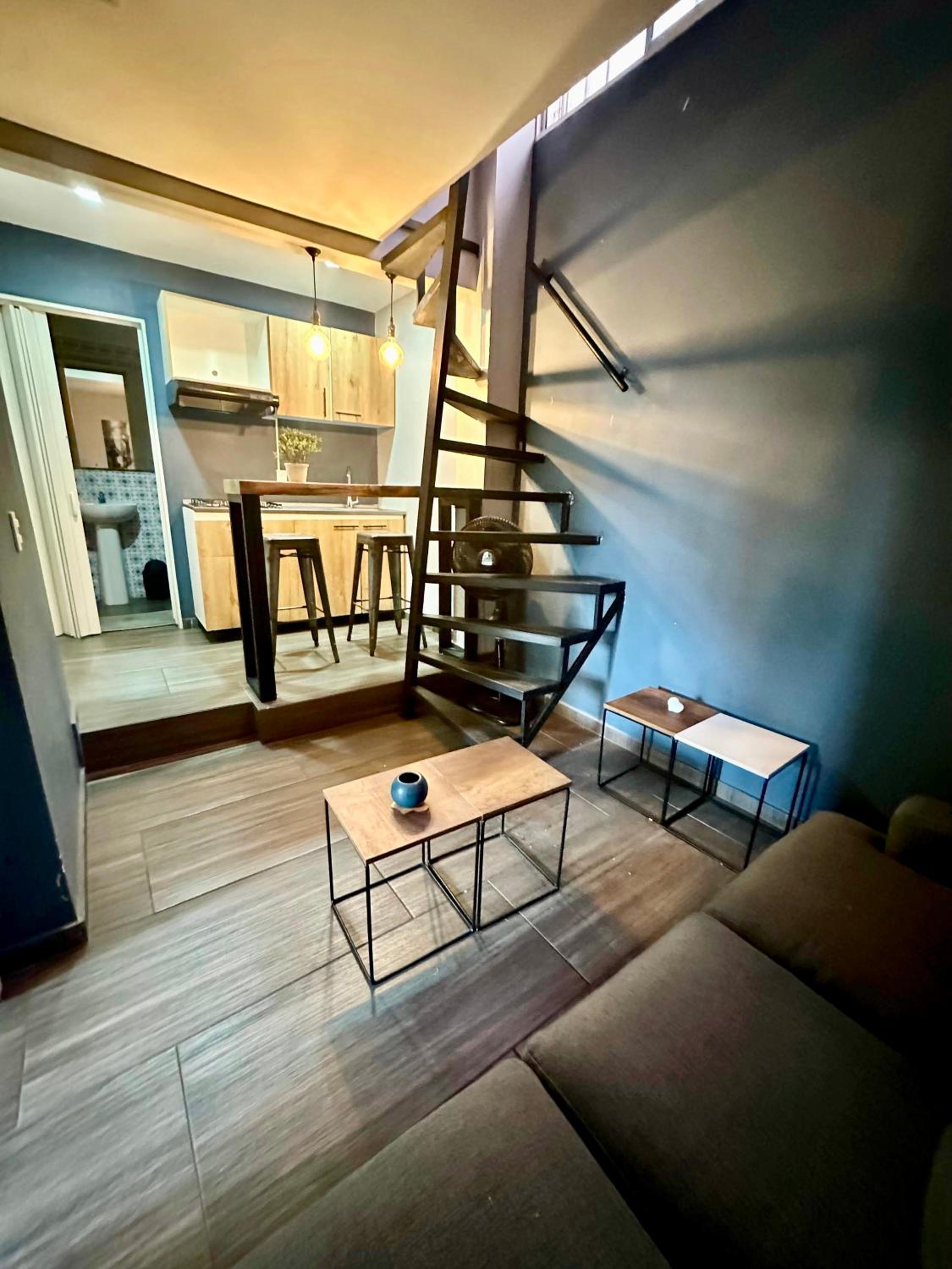 Coliving 52