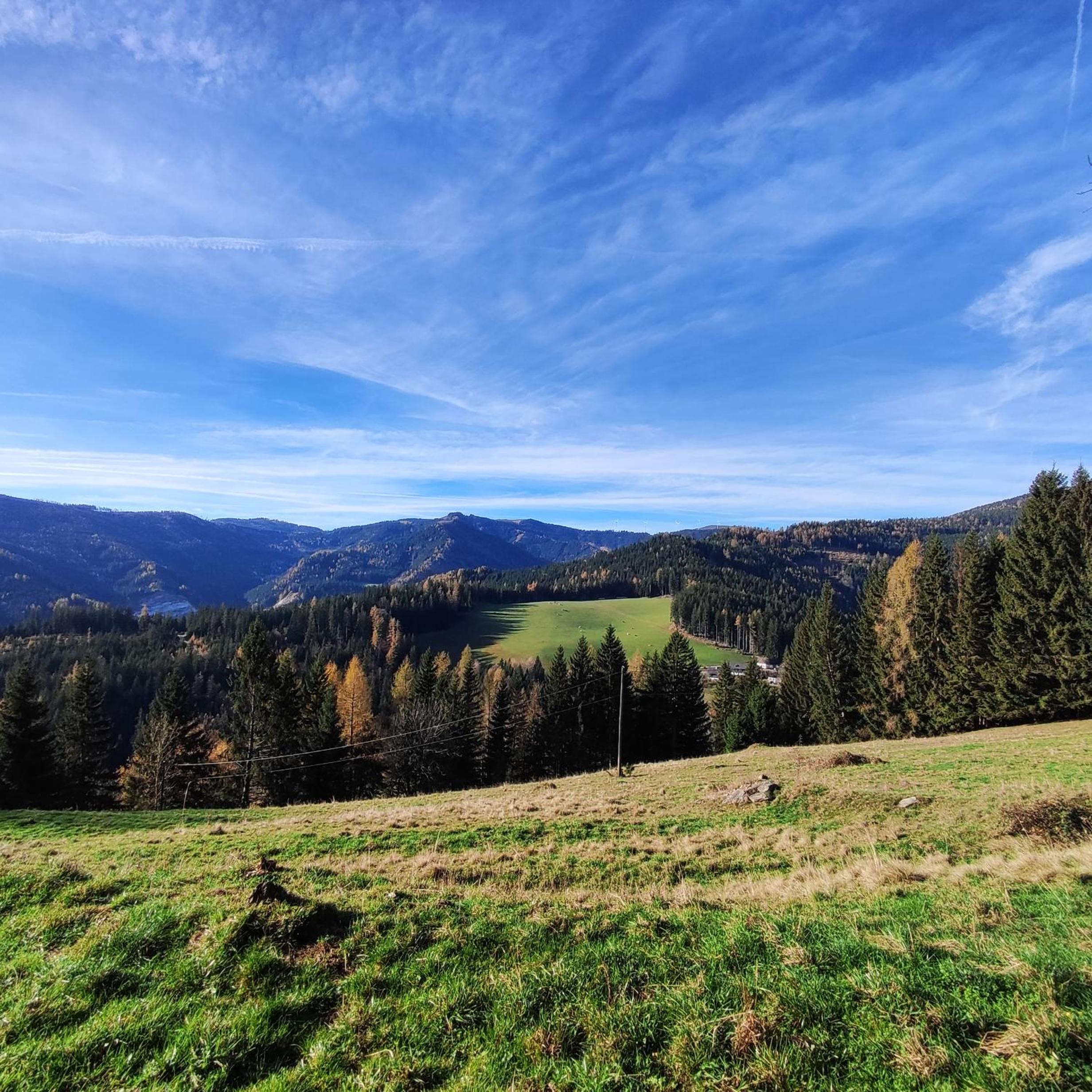 Ferienhaus Stubalpenblick