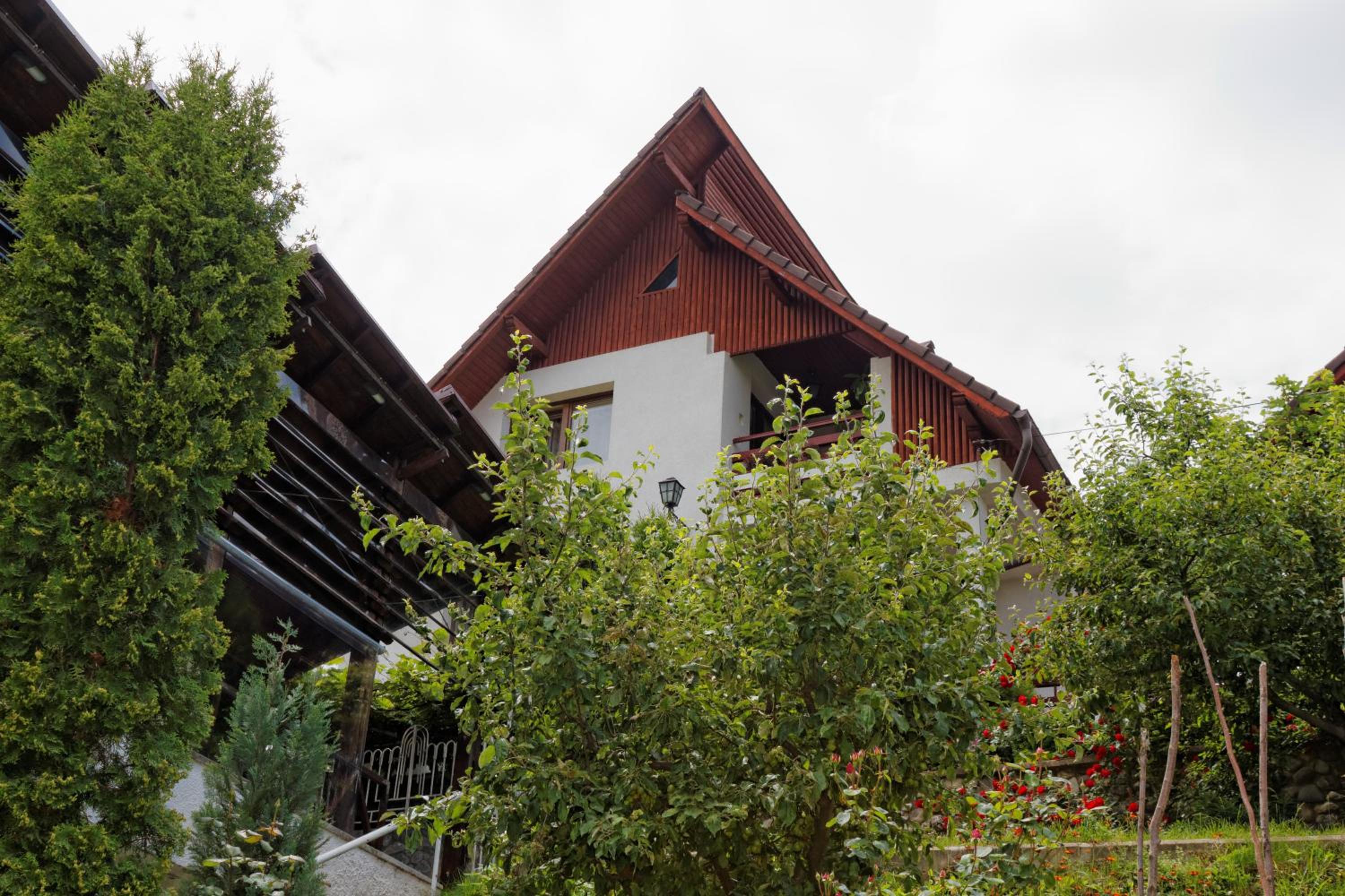Photo 38