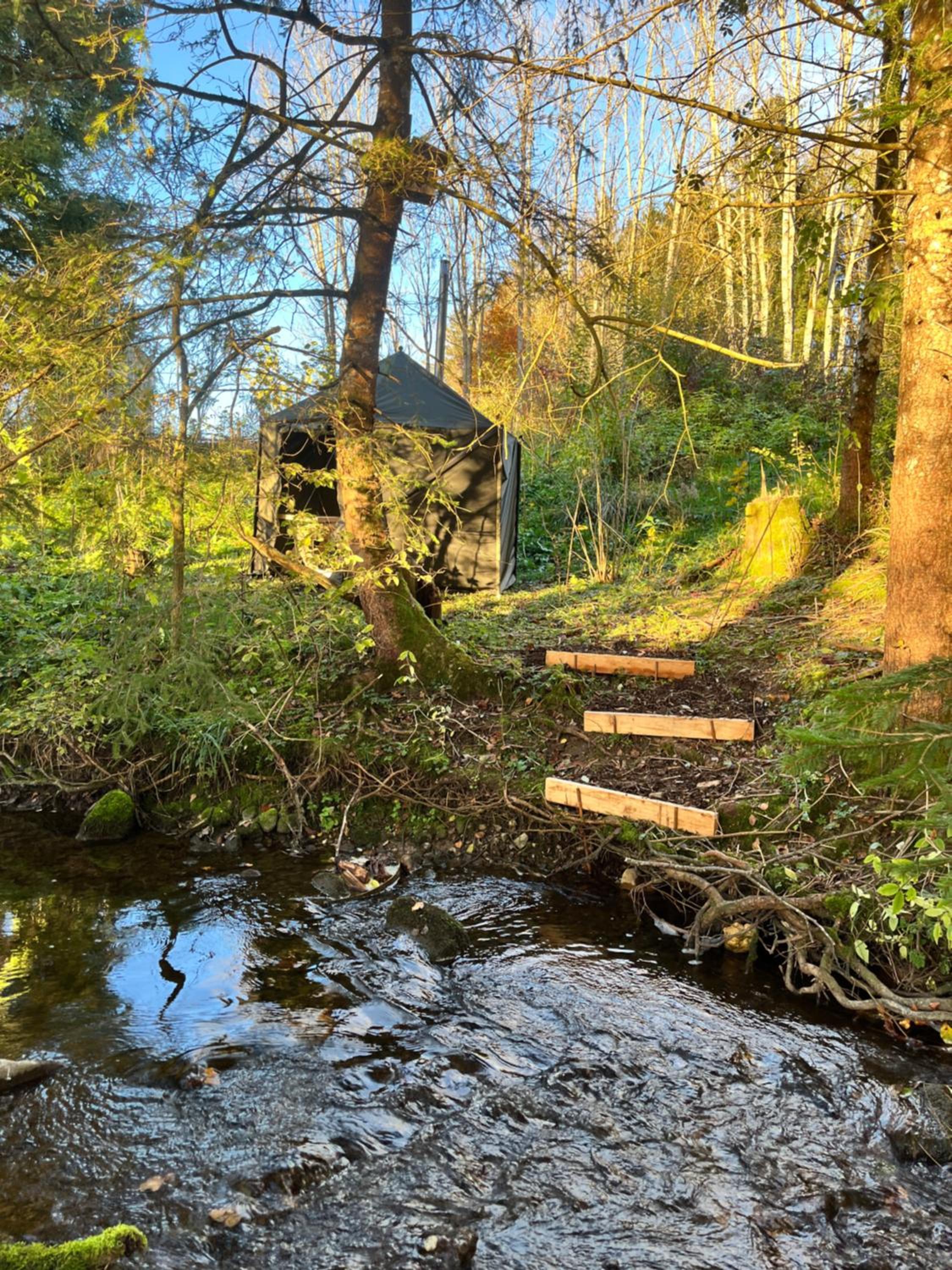 Wald ist Zukunft