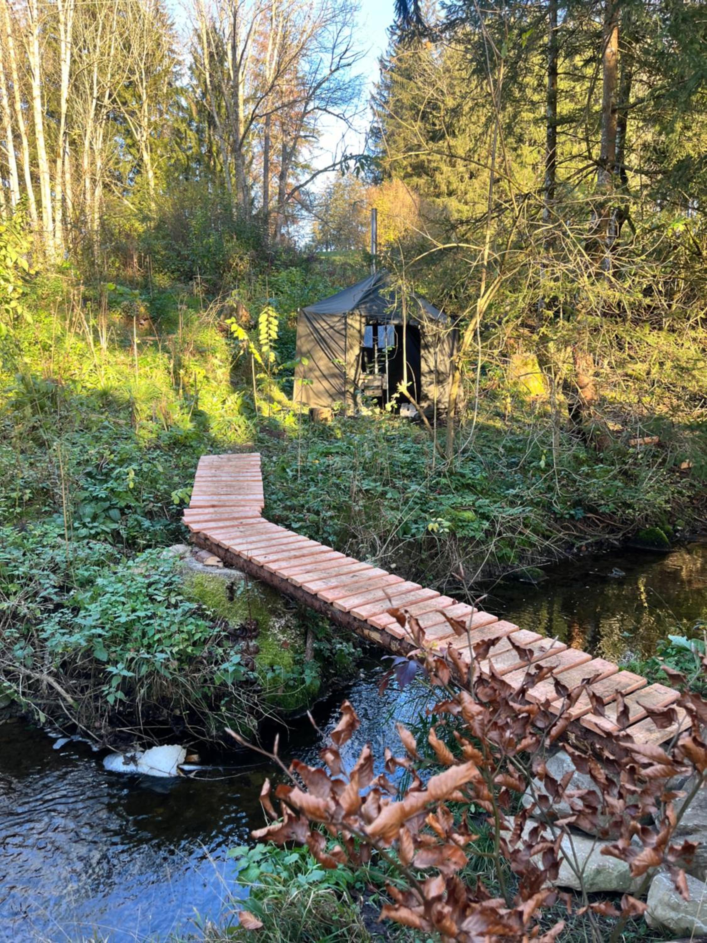 Wald ist Zukunft