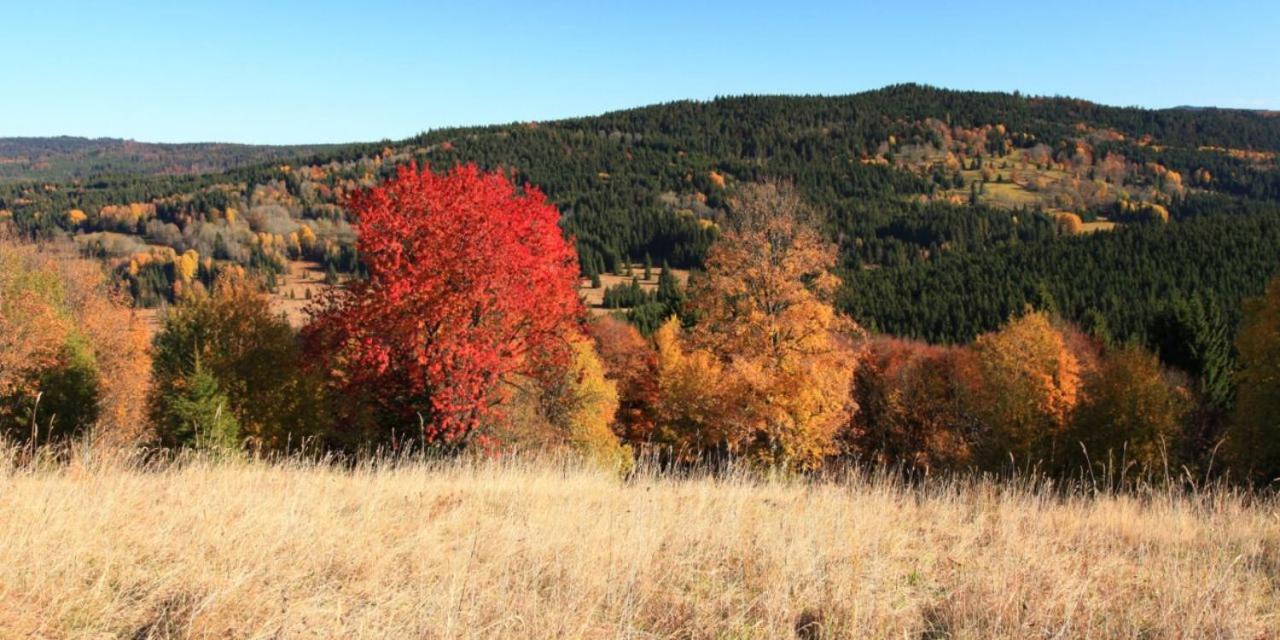 Studio Sumava-Bayerischer Wald