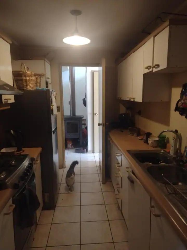 Amplia habitación con baño privado en mi casa