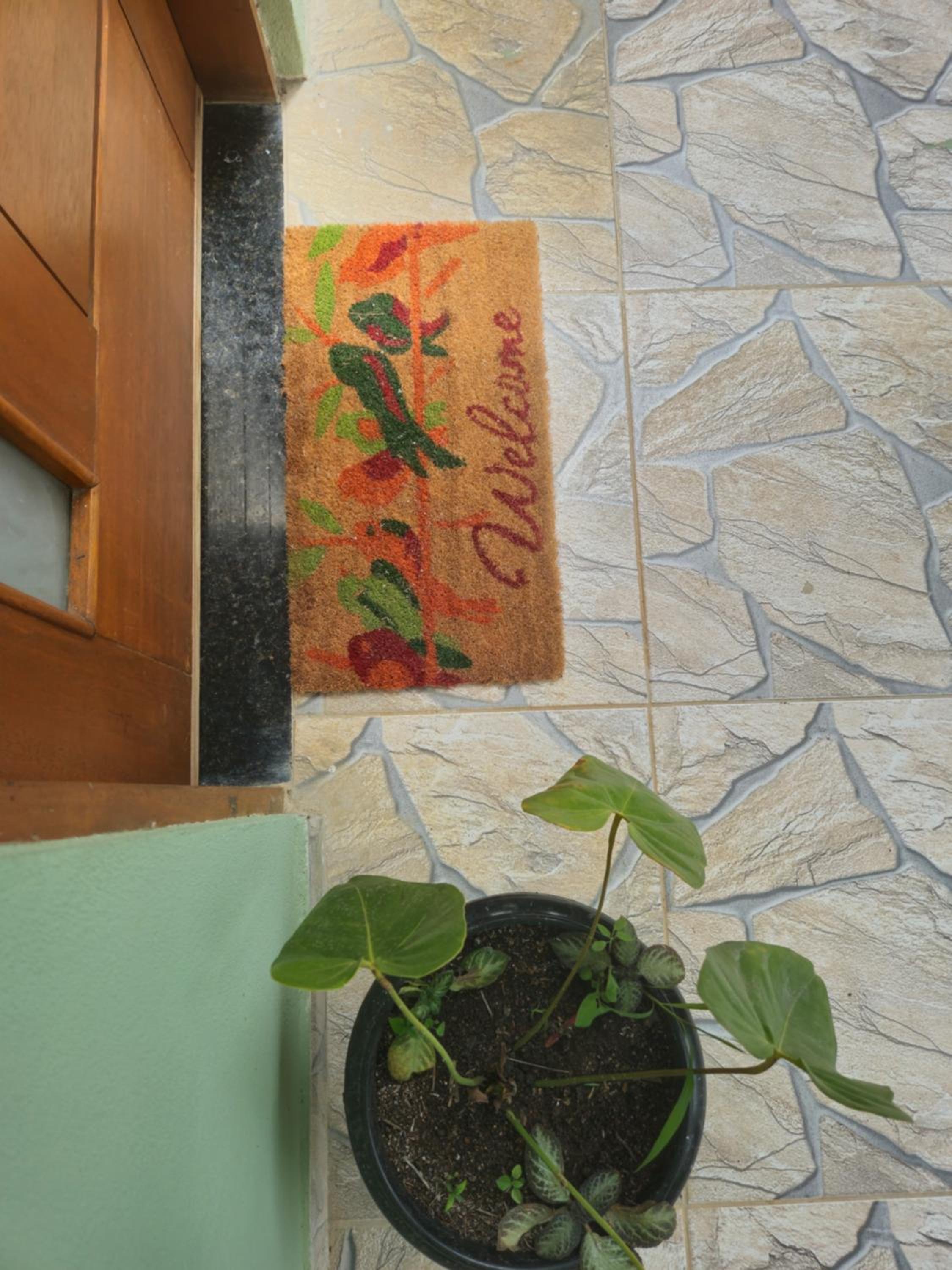 Chalé Ilhabela com garagem e área gourmet