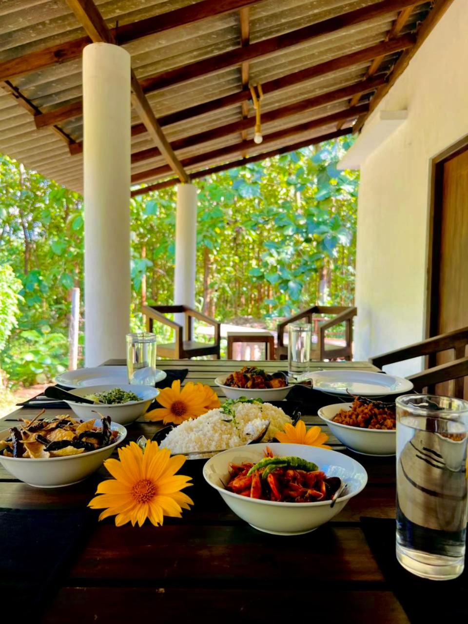 The Laura Udawalawe view 2