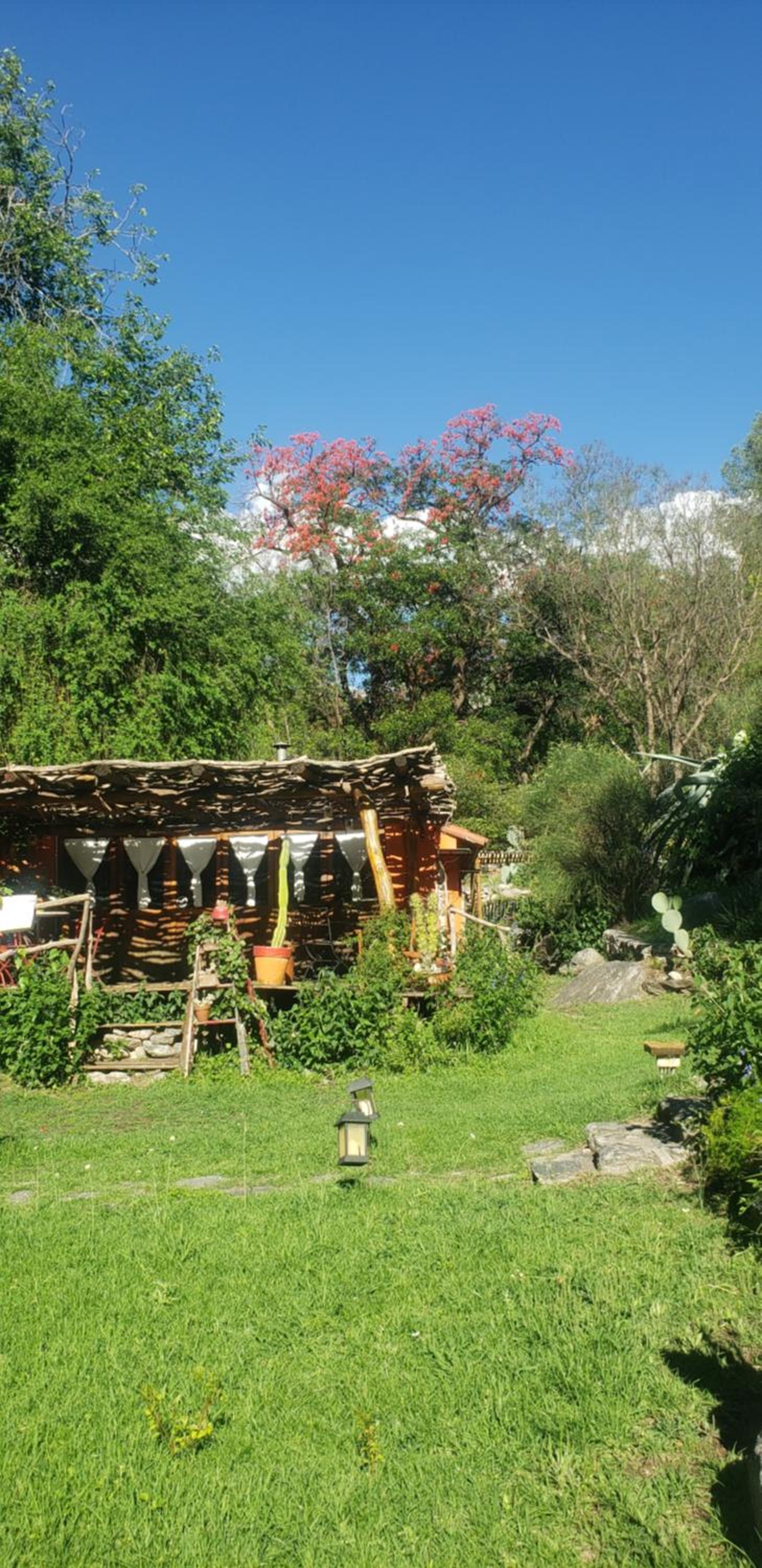 Cabañas spa el petrel