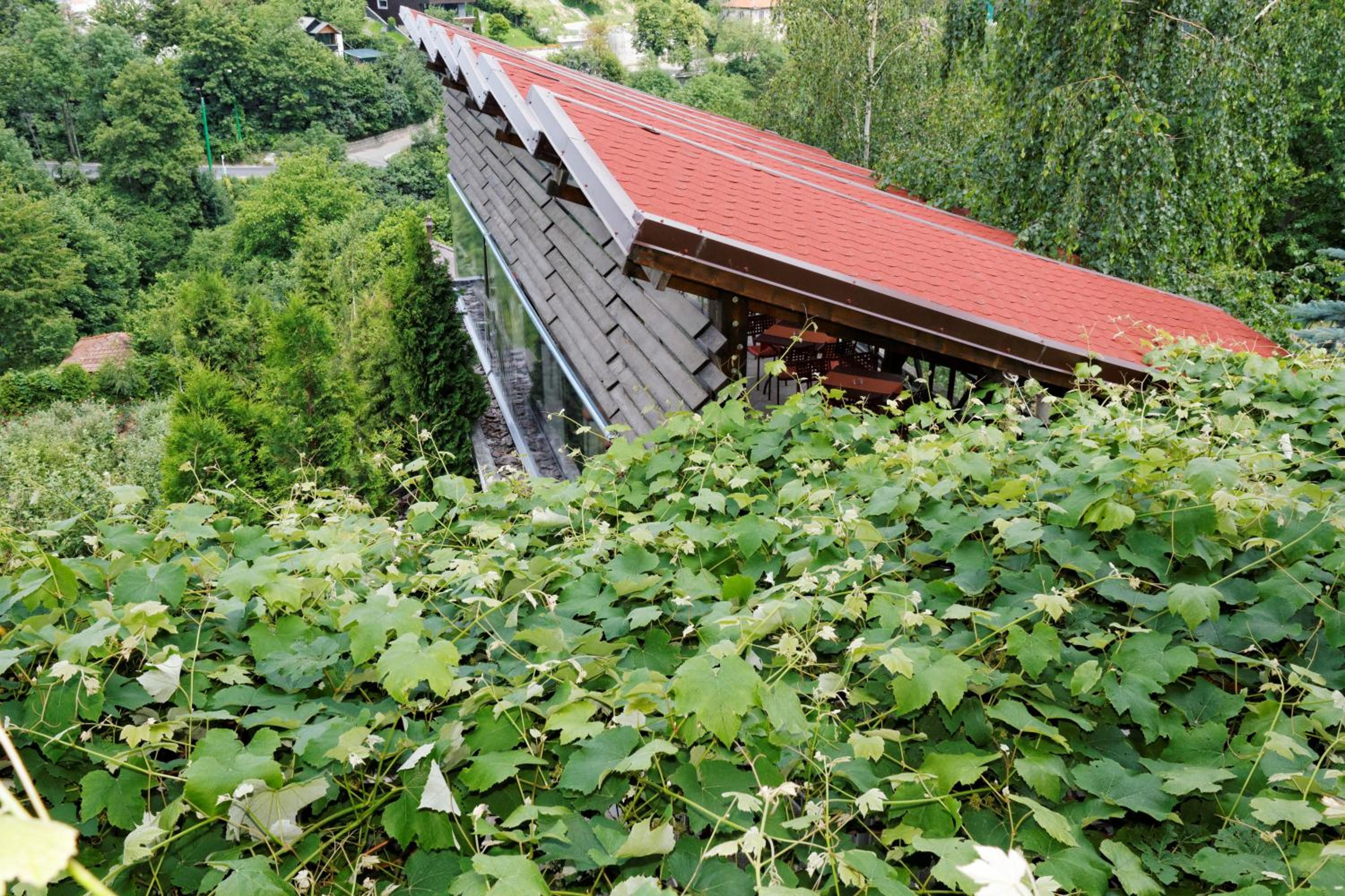 Photo 41