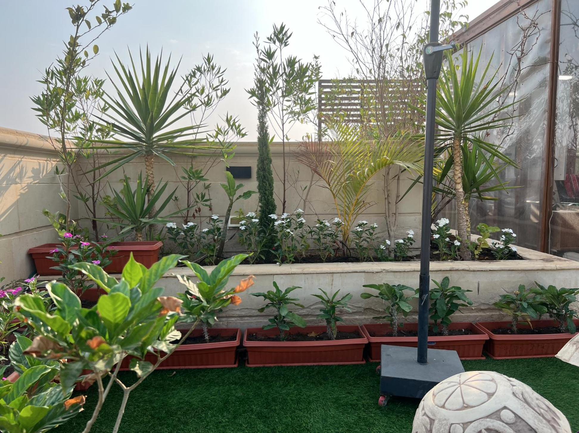 1 BR apart with Rooftop