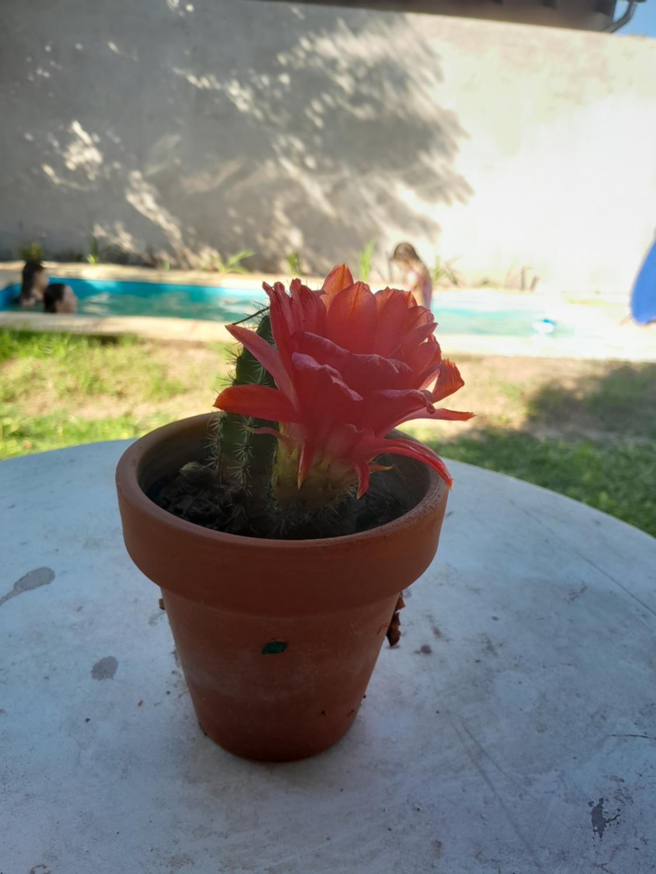 Casita Ukuchay Pcia Bs As