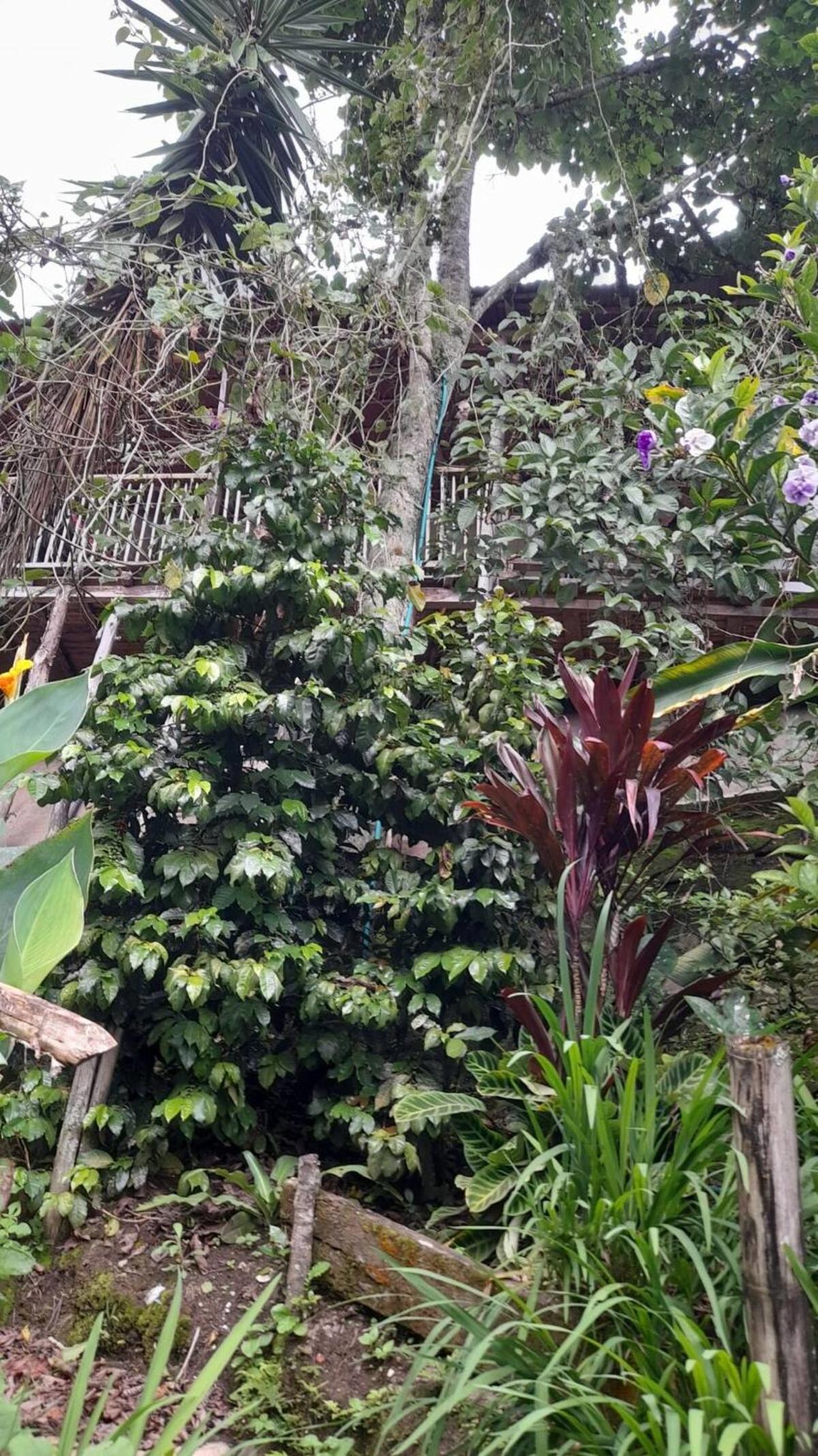 Casa campestre tradicional