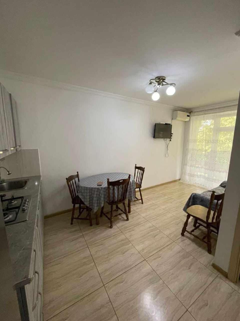 Elza's apartment view 5