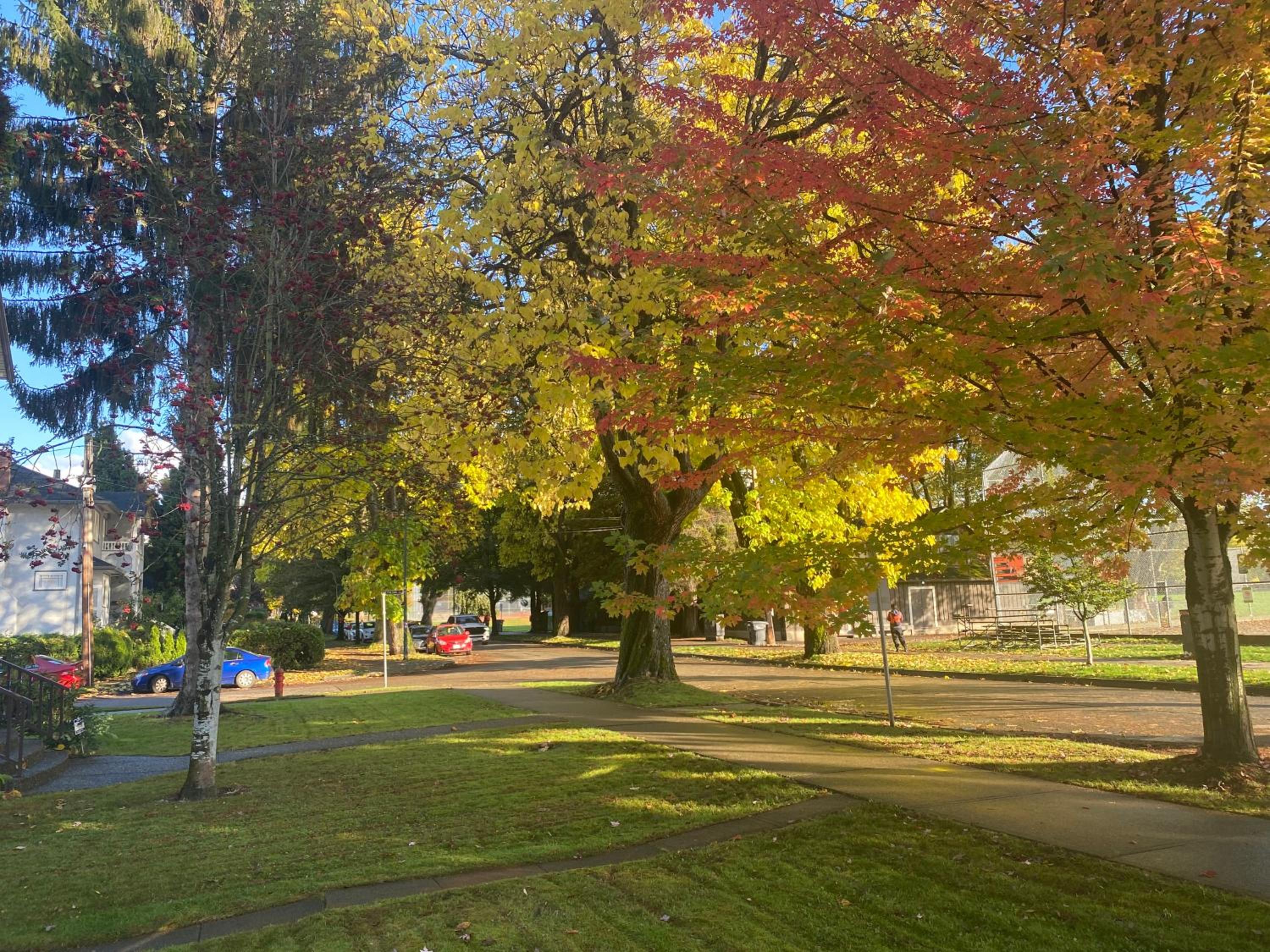 Bright Garden Suite Across From Park in Kitsilano