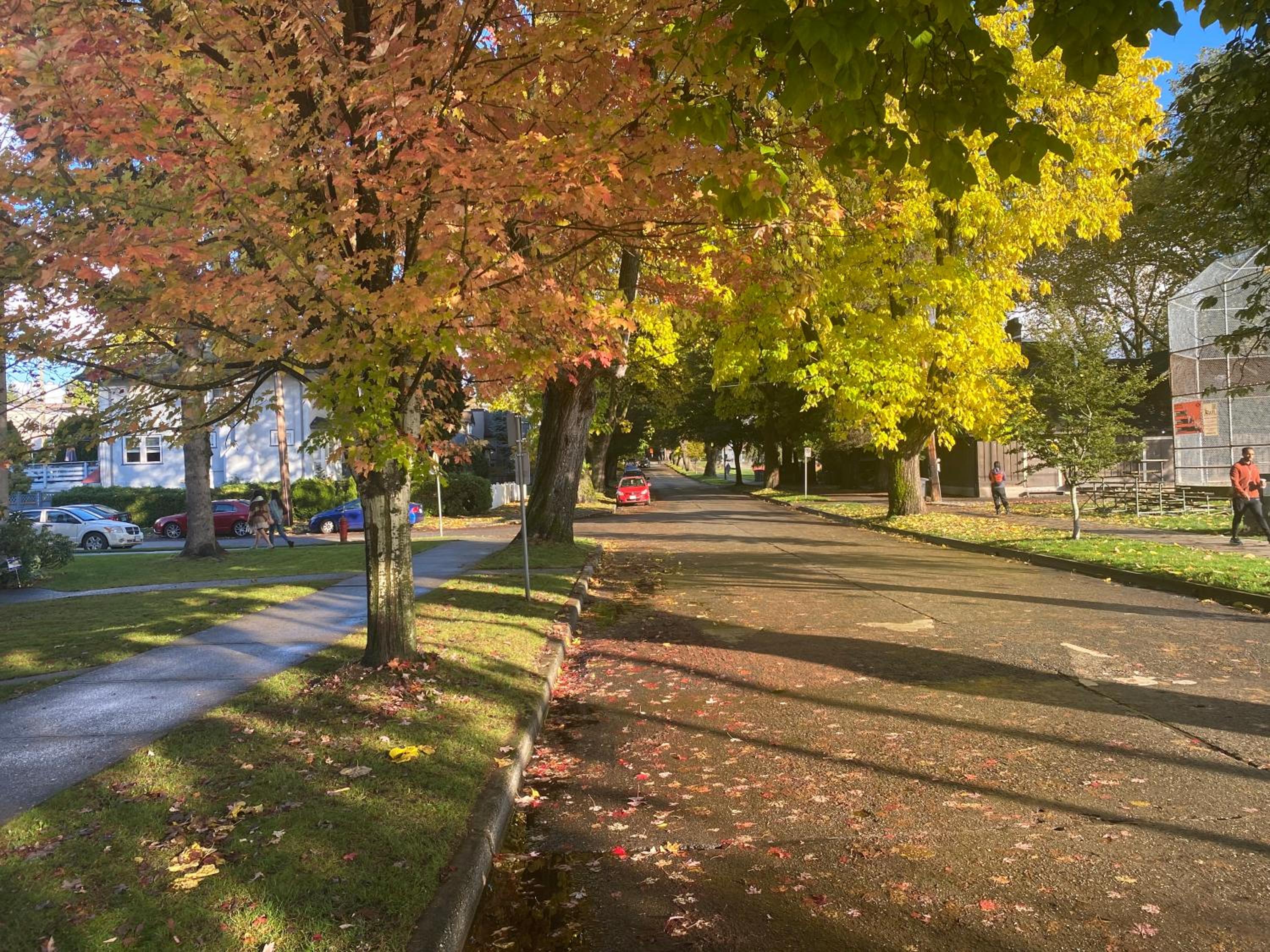 Bright Garden Suite Across From Park in Kitsilano