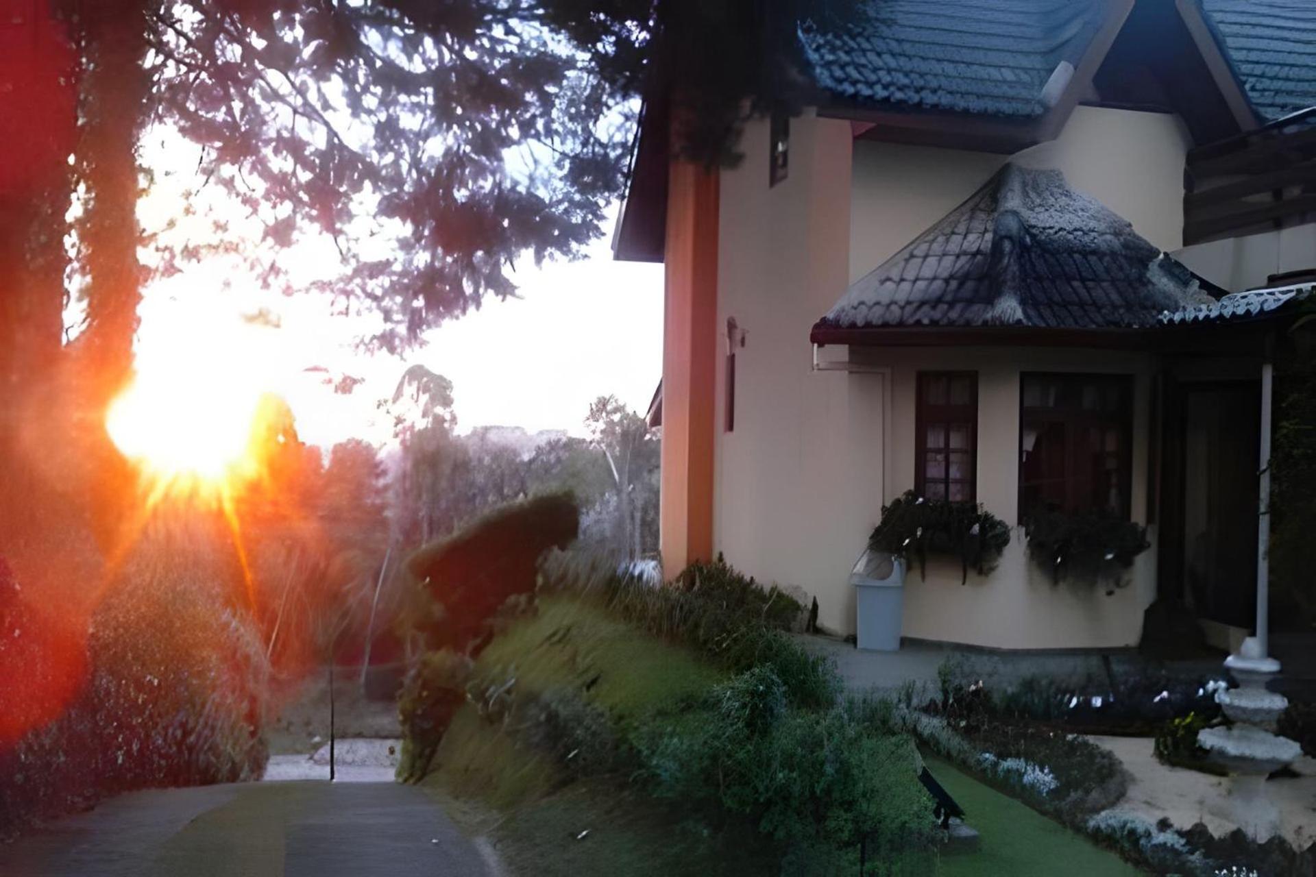 The Writer's House