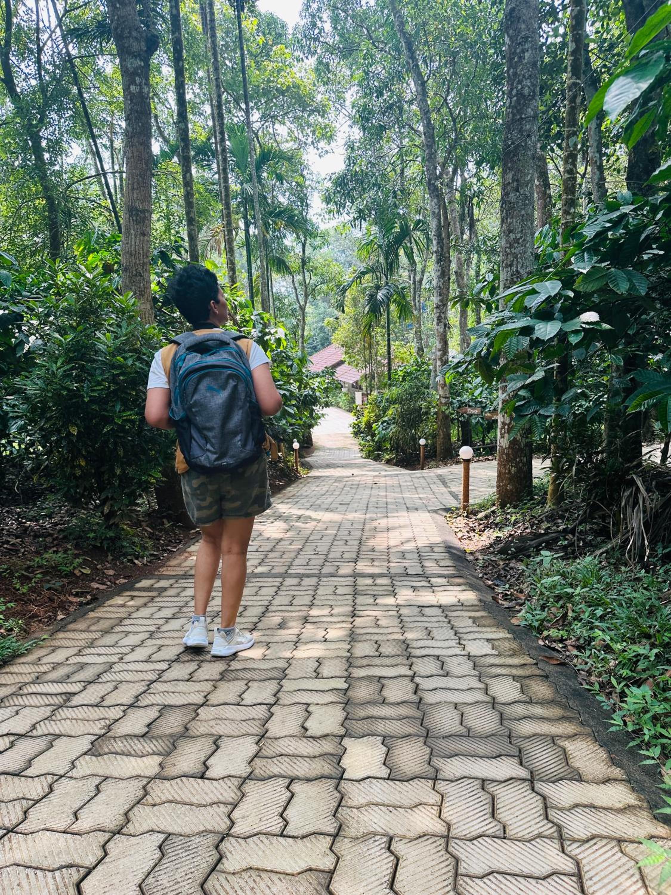 Drey at Druv Dakshin Farm Resort