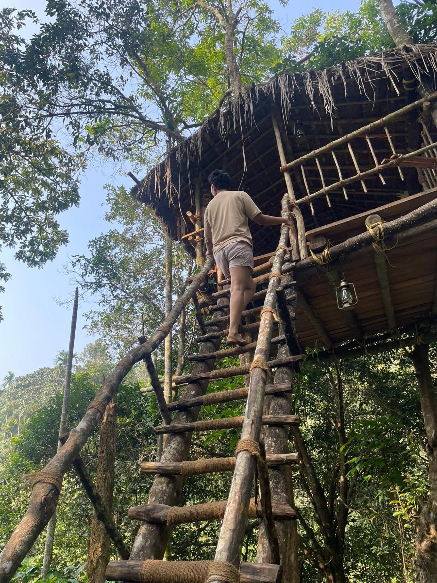 The Hive at Druv Dakshin Farm Resort view 3