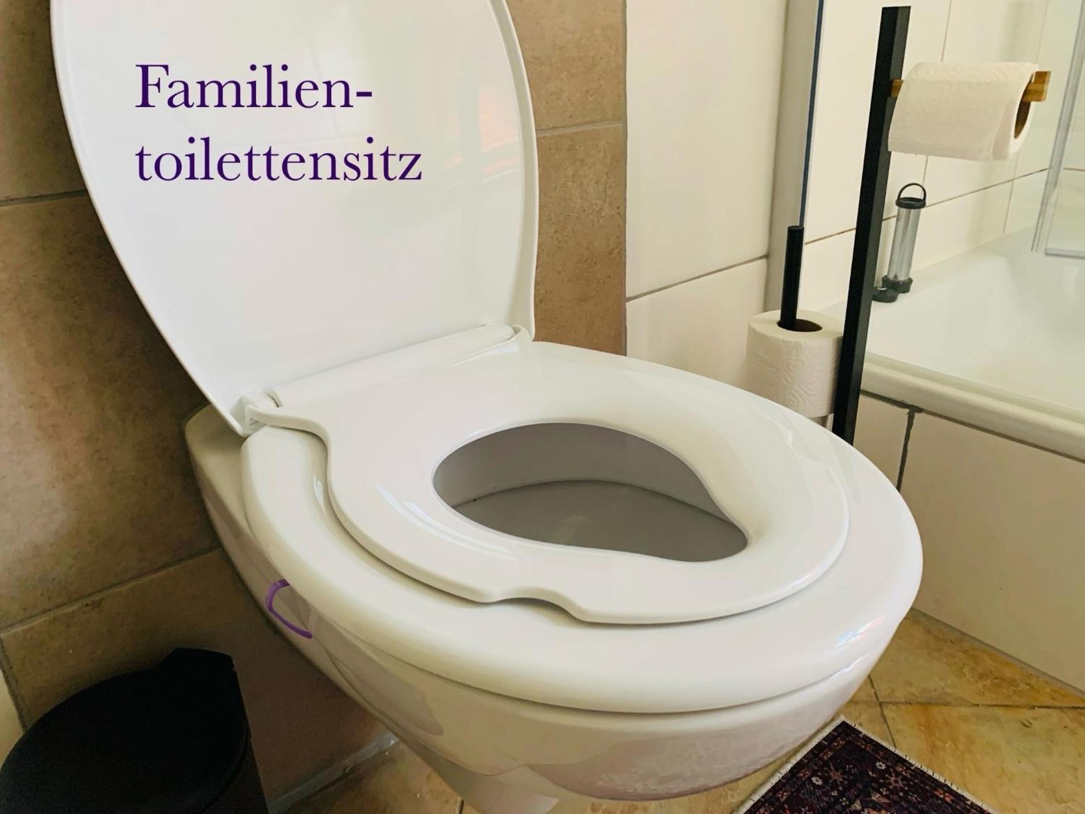 Burg Aue- Ferienwohnungen Erzglück - Familien - im Grünen - zentral