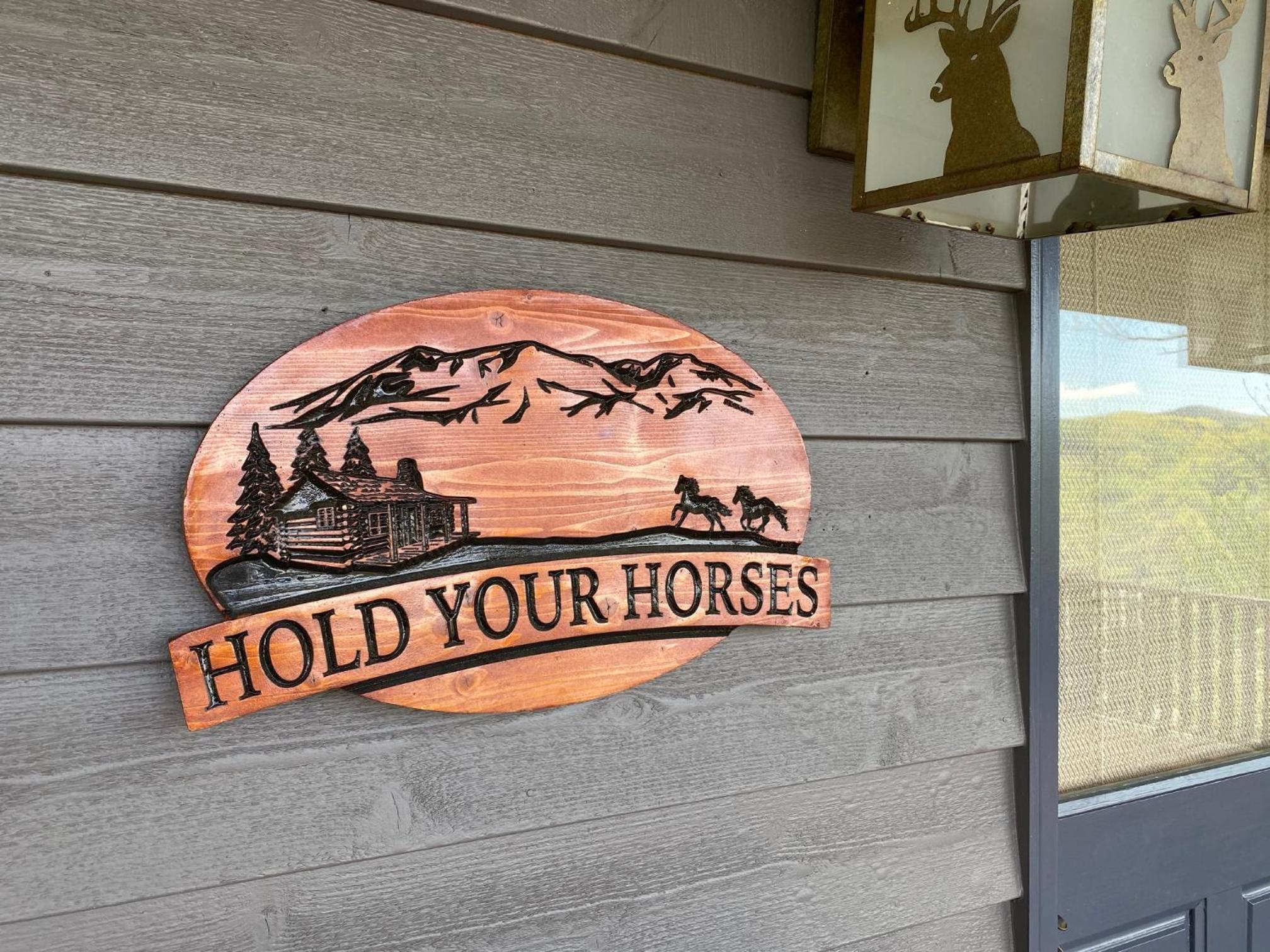 Hold Your Horses view 4