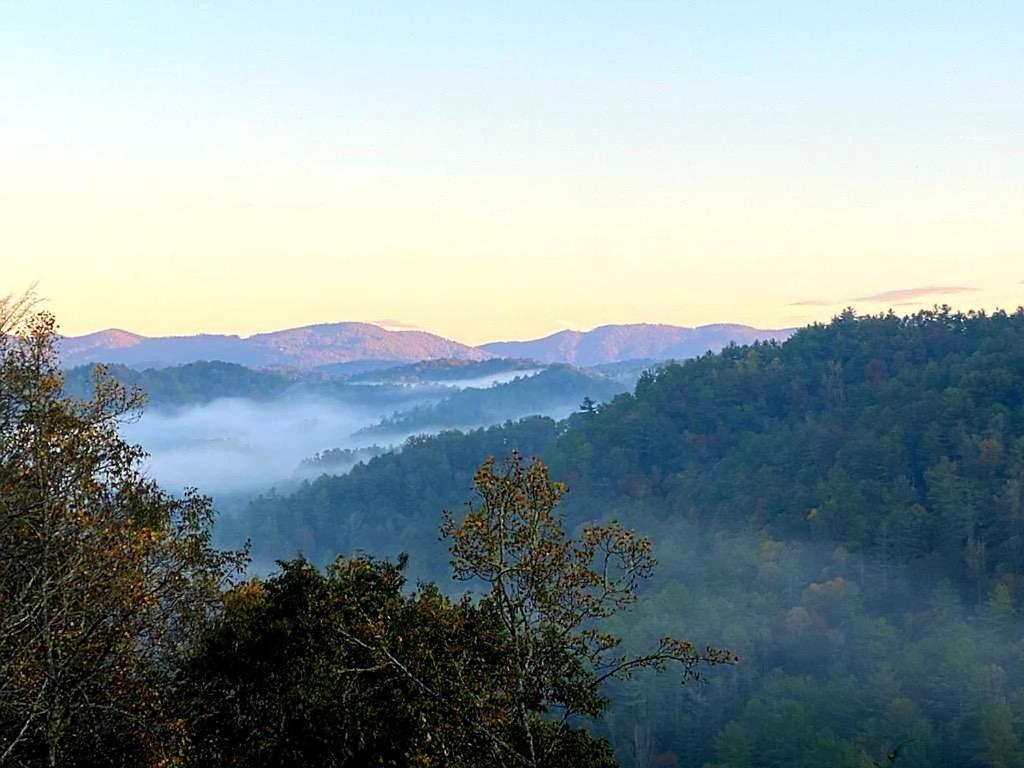 Mountain Vista