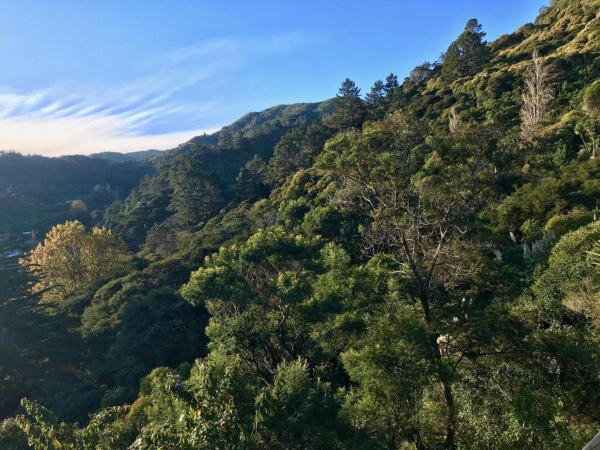 Fantail Hill