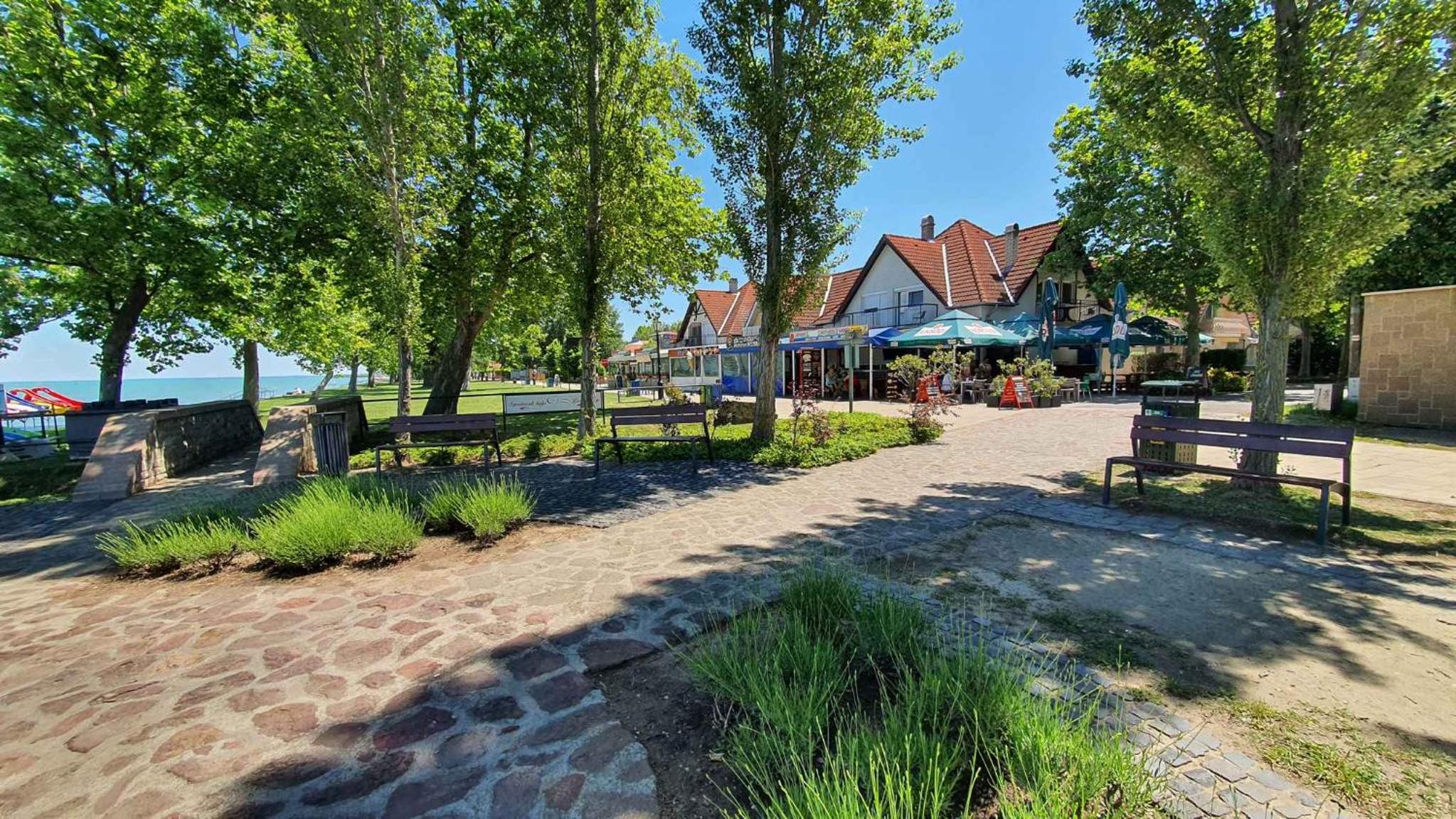 Apartments in Zamardi - Balaton 52987 view 5