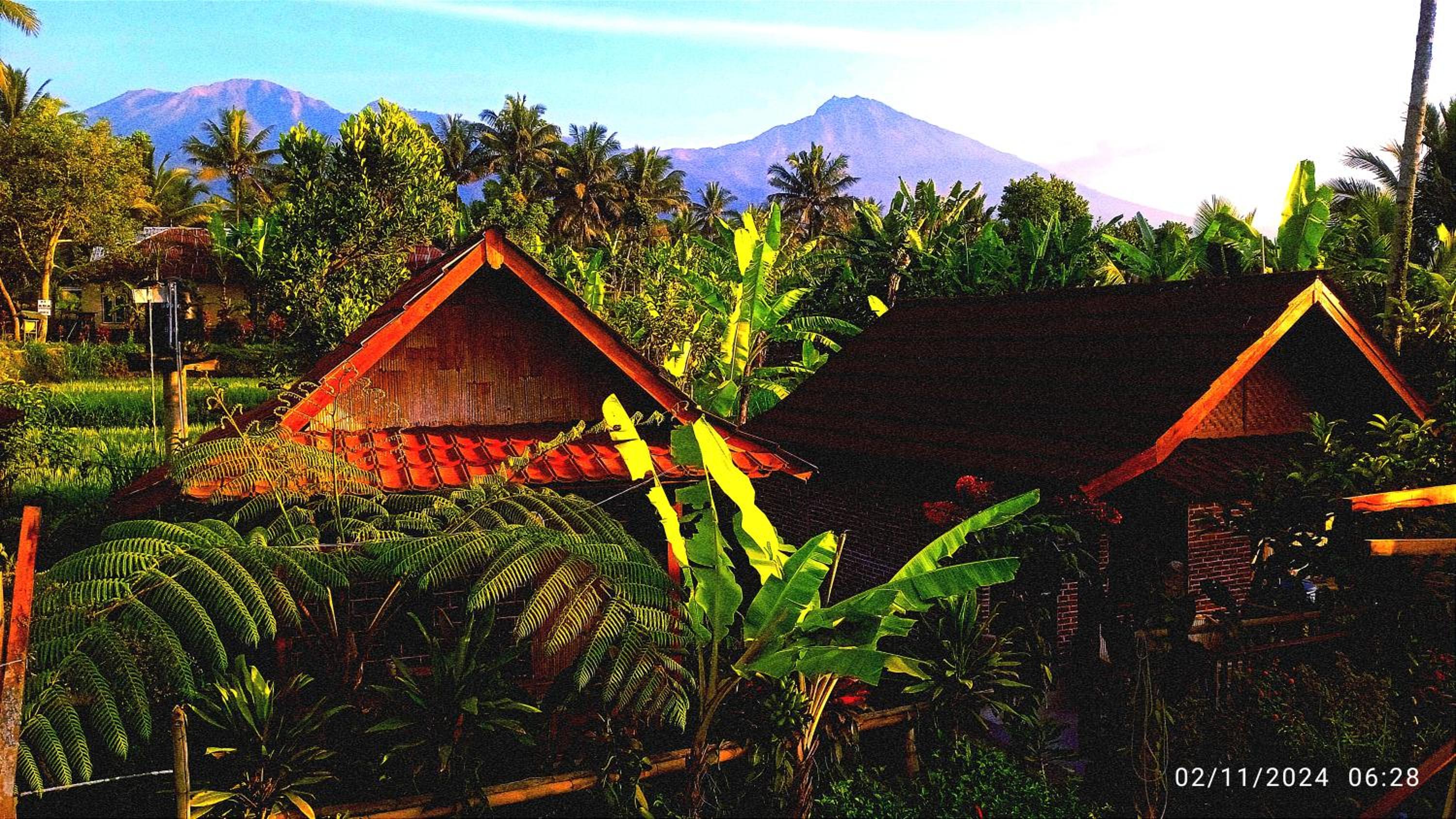 Ariel Bungalow Tetebatu view 2