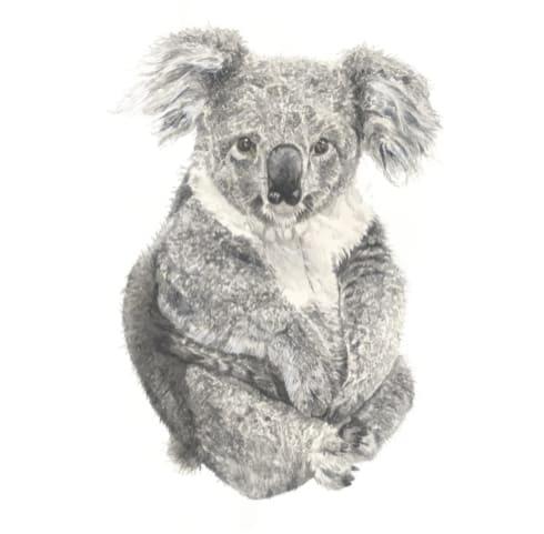 Fresh 2BD Koala Condo West End