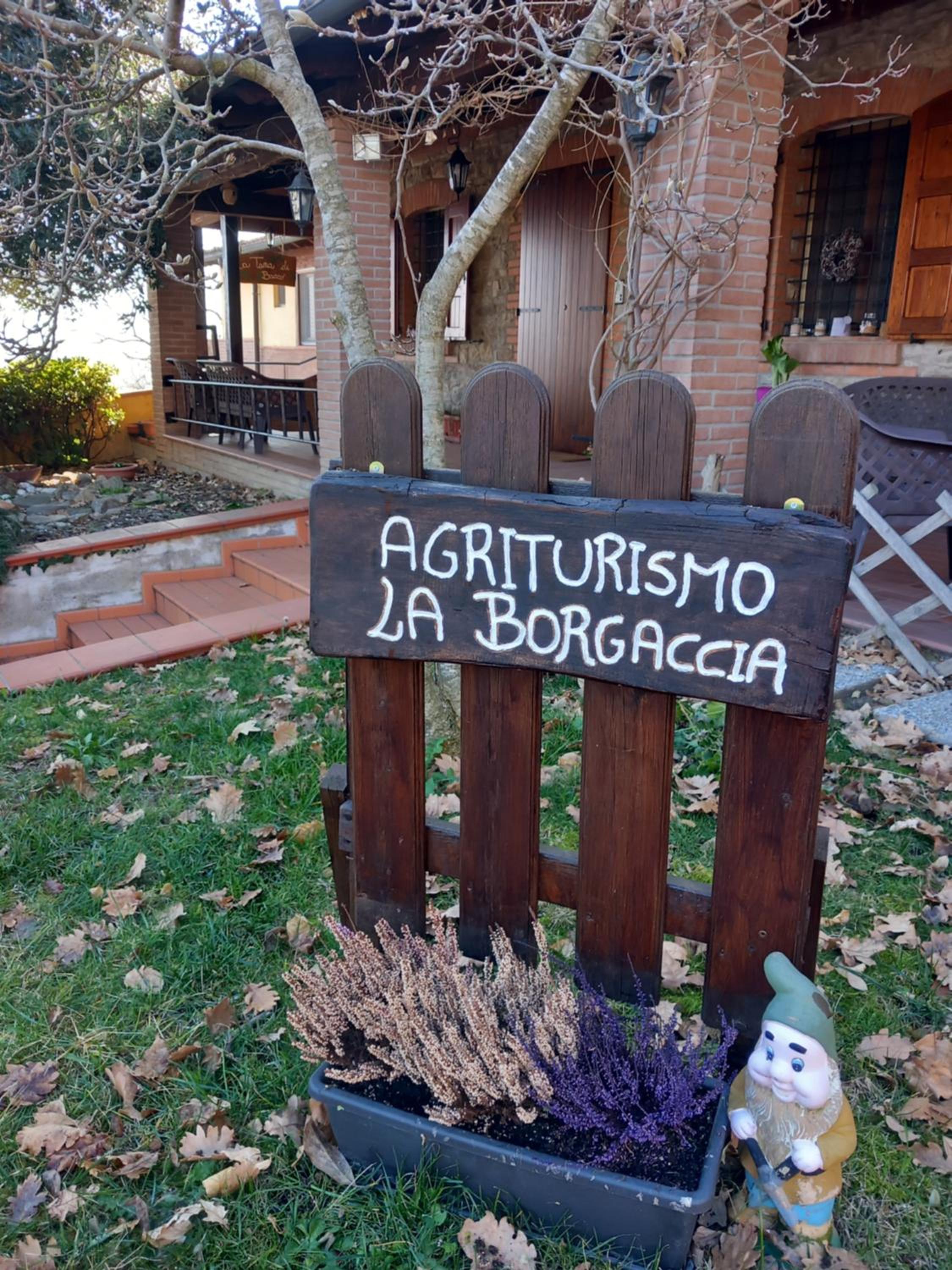 Azienda agrituristica La Borgaccia view 2