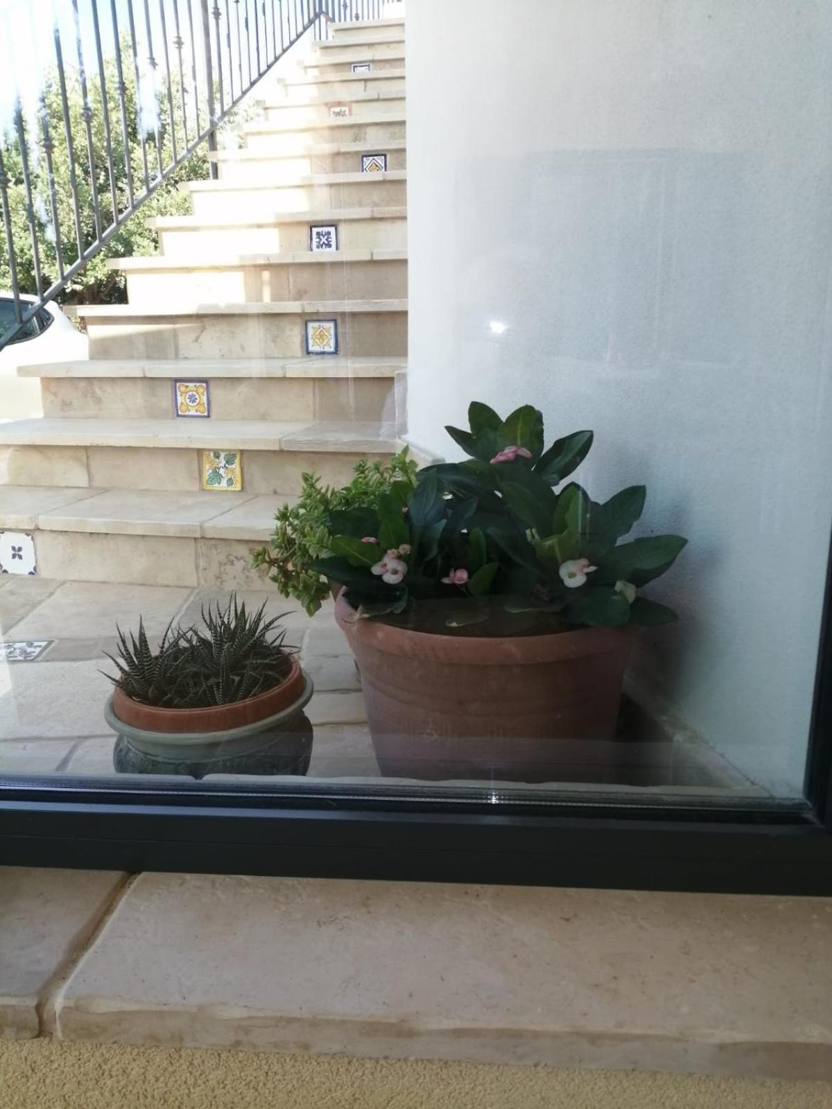 Villa Simona view 5